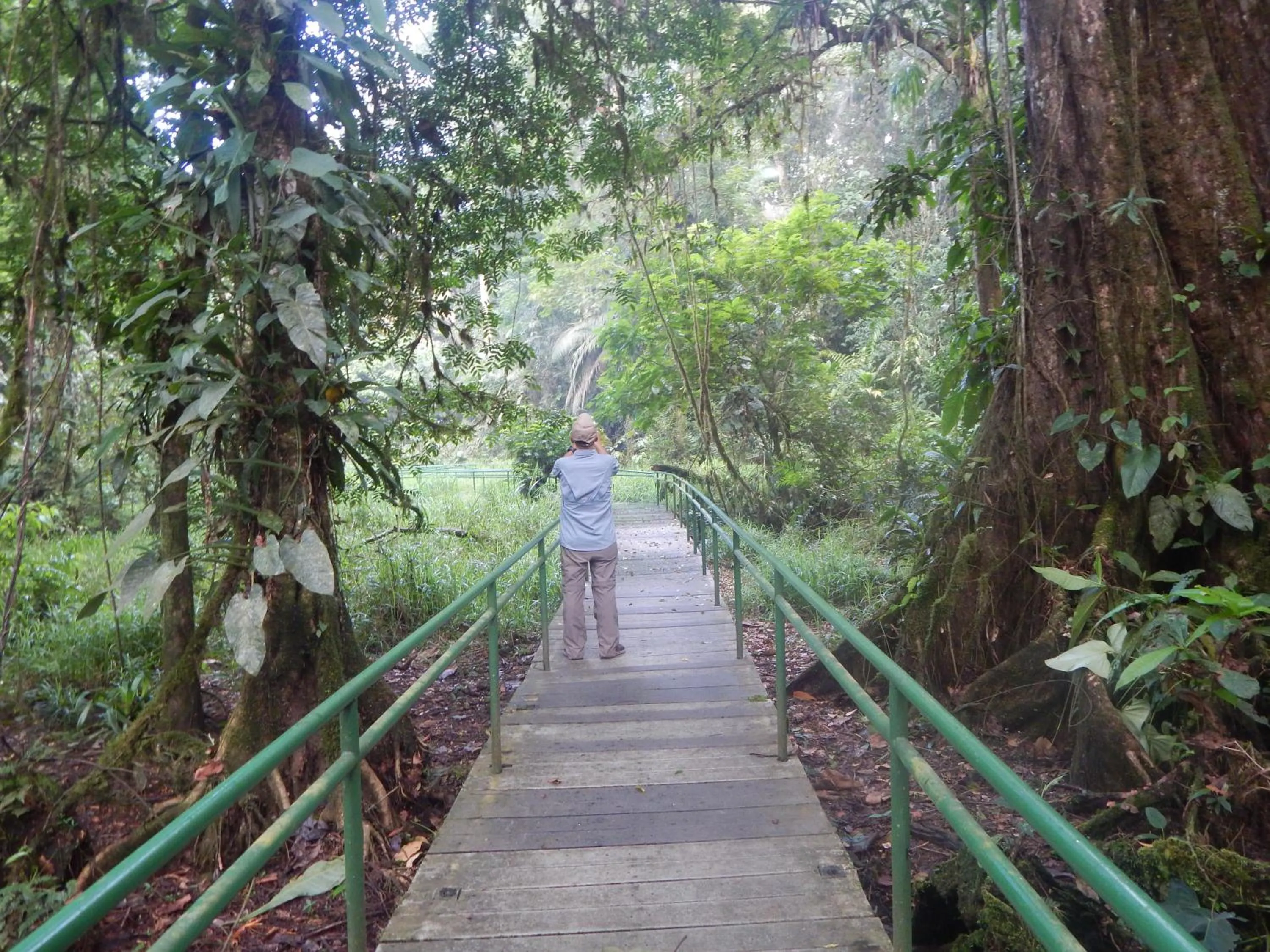 Hiking in La Selva Biological Station