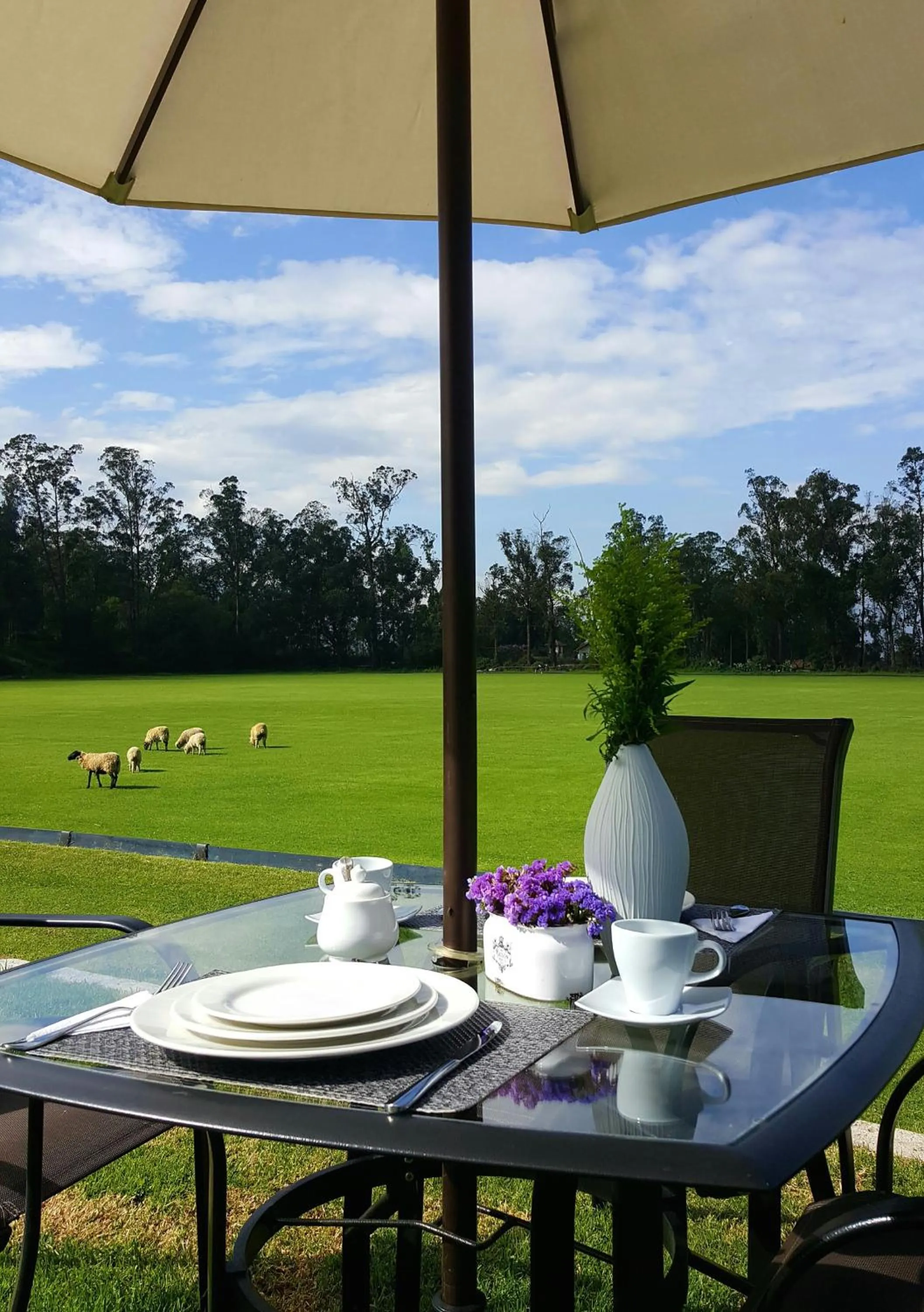 Restaurant/places to eat in La Palma Polo Hotel - Airport Area