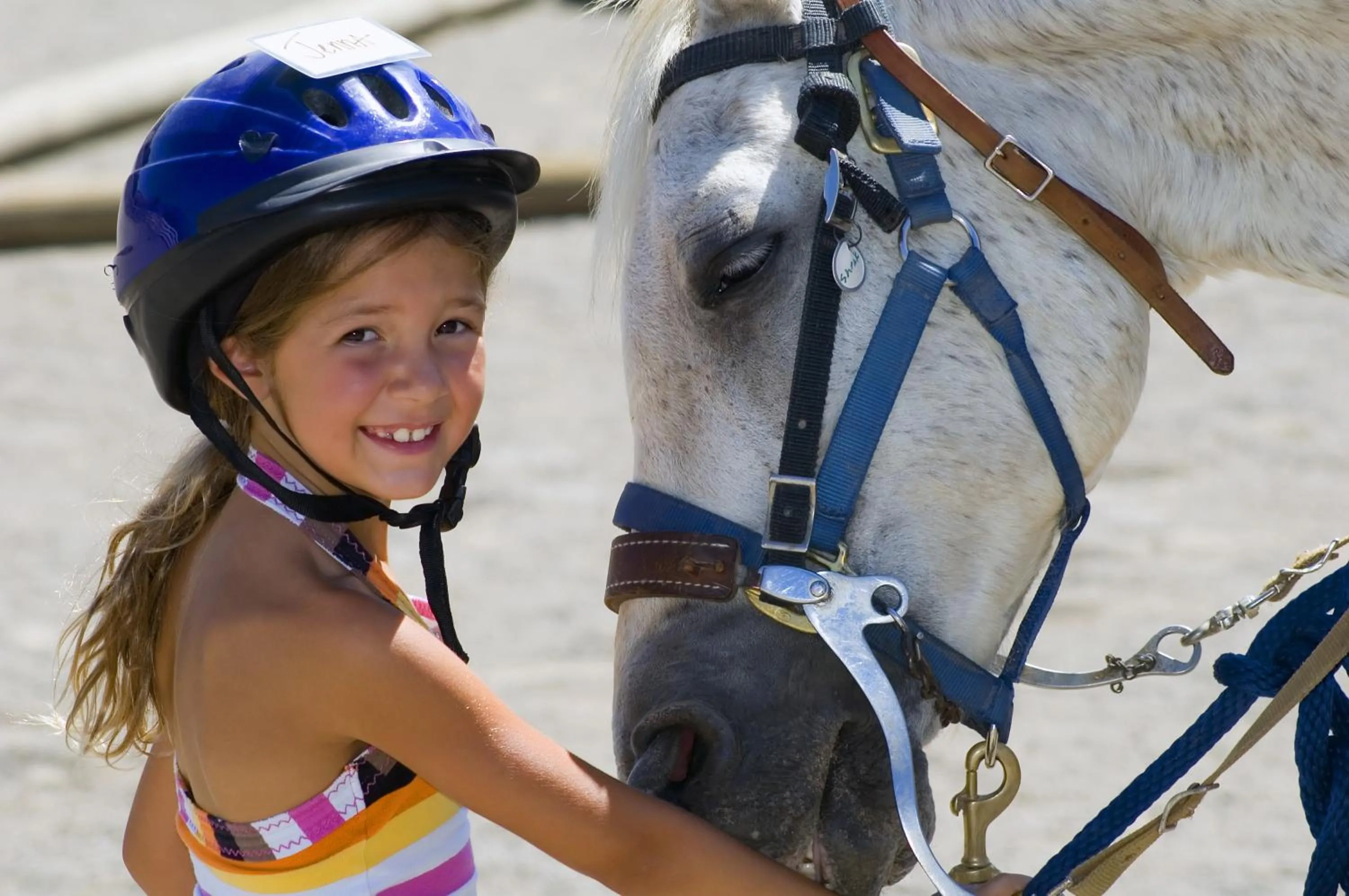 Horse-riding in La Palma Polo Hotel - Airport Area