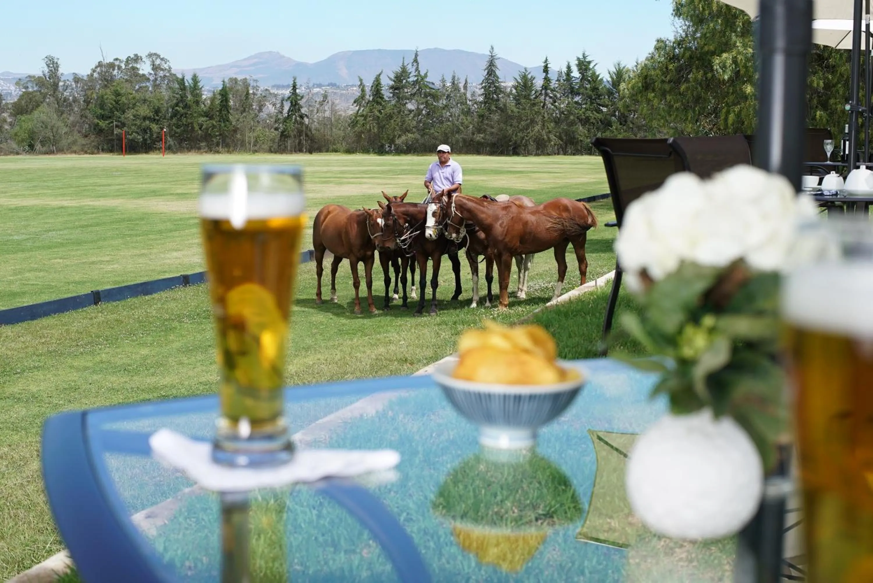 Restaurant/places to eat in La Palma Polo Hotel - Airport Area