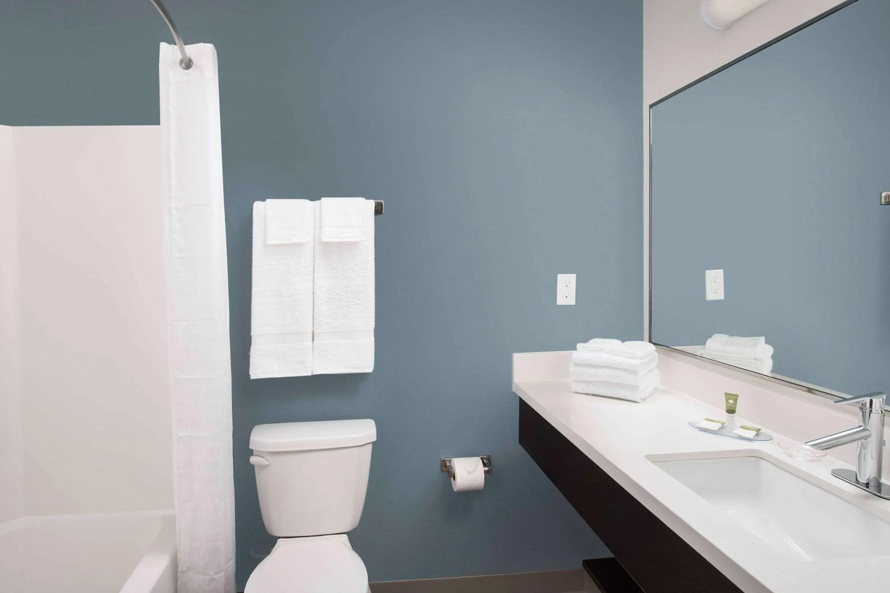 Bathroom in WoodSpring Suites Austin South Central I-35