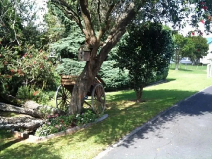 Garden in Dargaville Motel