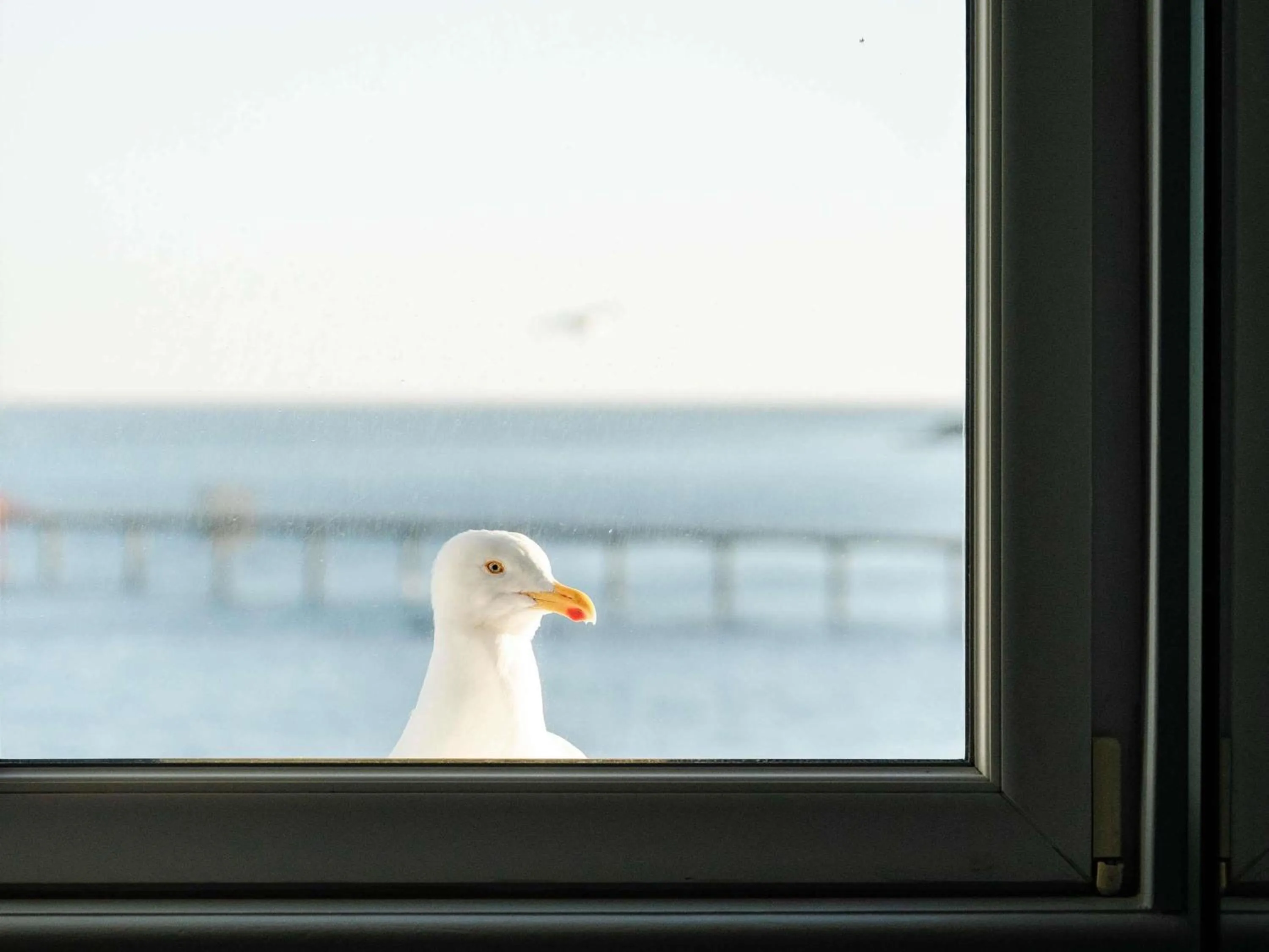 Bedroom in Hotel Mercure Roscoff Bord De Mer