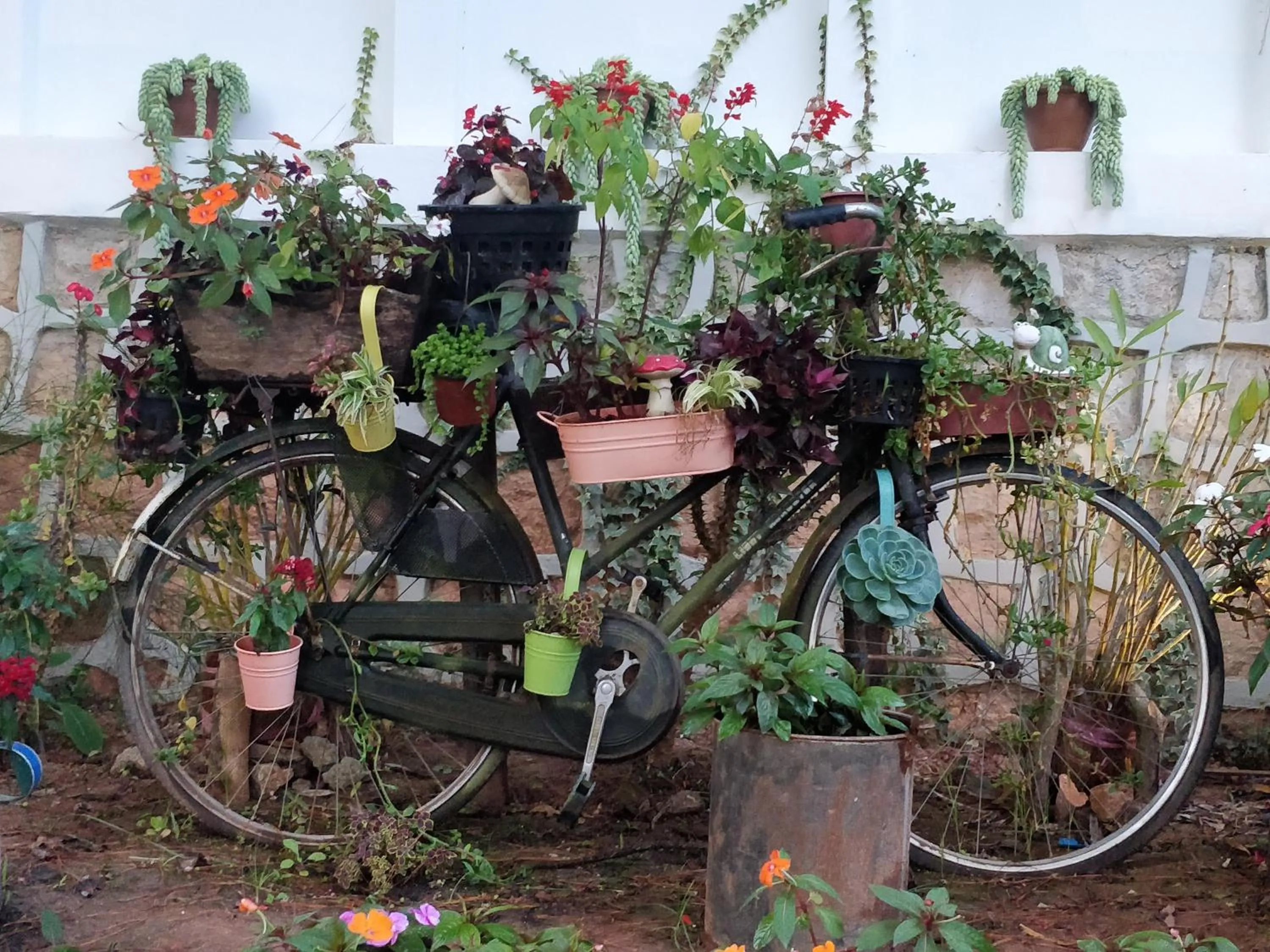 Other in Hillock Villa