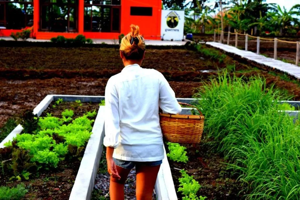 Garden in Guerrera Rice Paddy Villas
