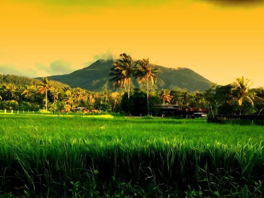 Garden view in Guerrera Rice Paddy Villas