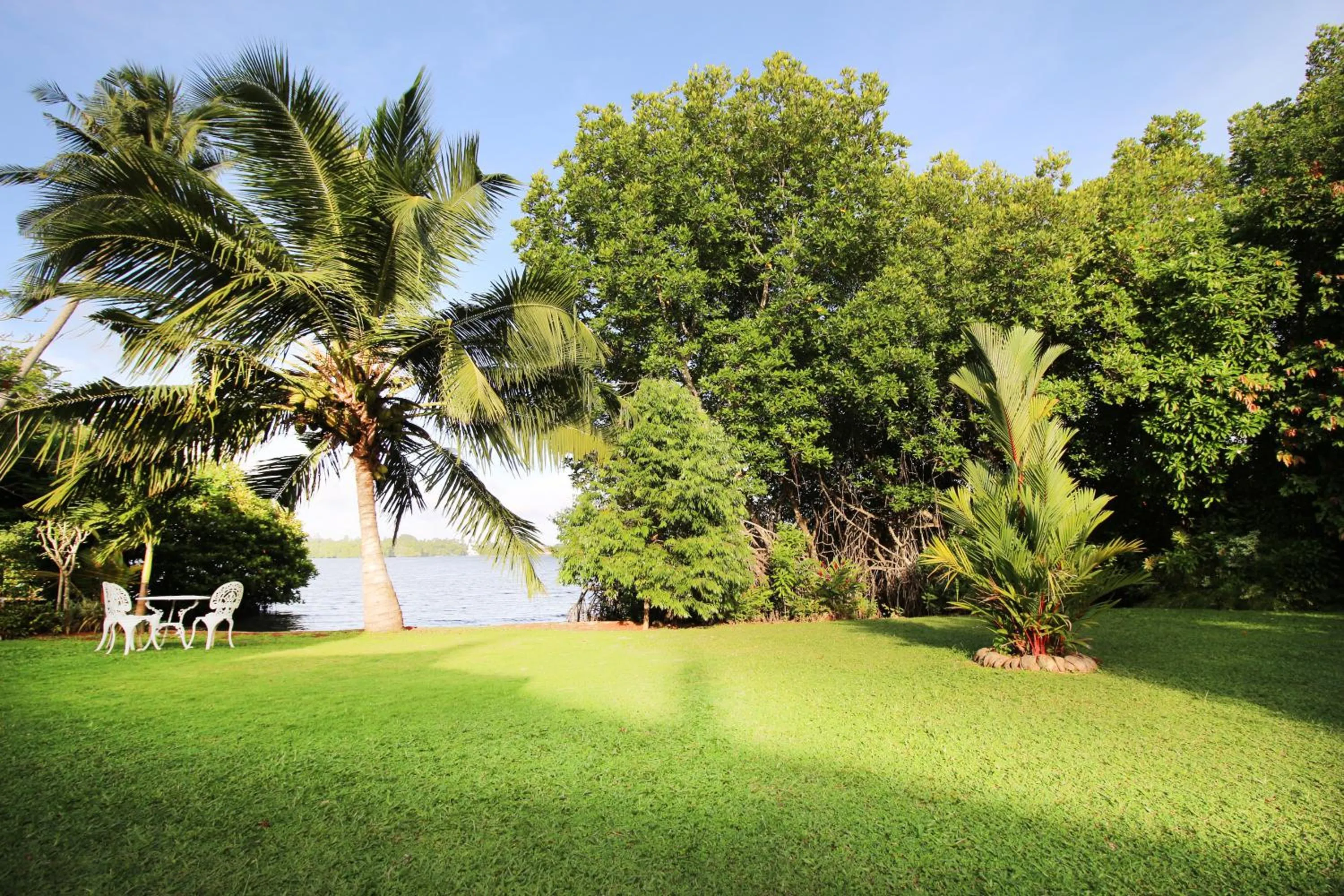 Natural landscape, Garden in River Breeze Villa Bentota