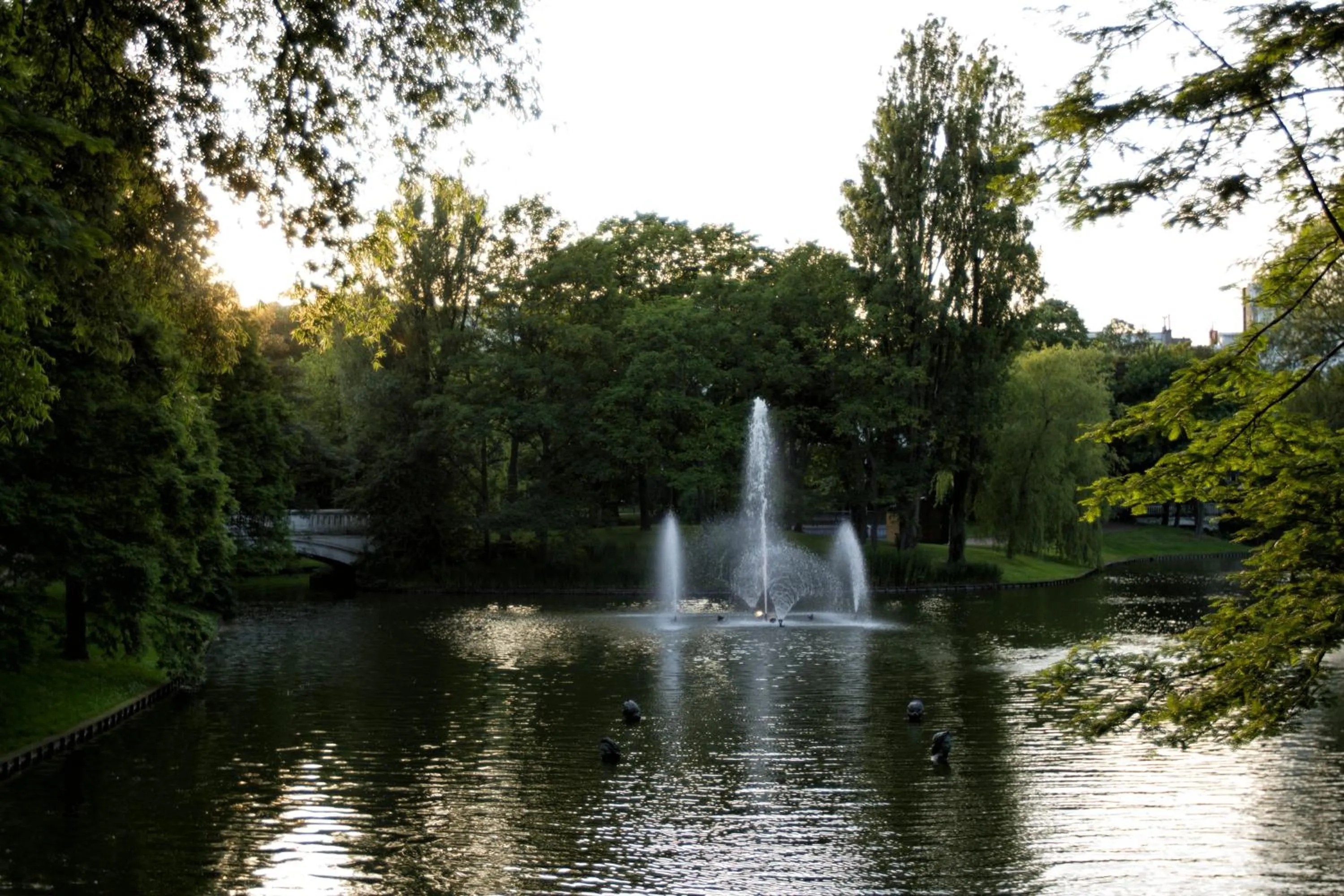 Area and facilities in Hotel Ter Streep