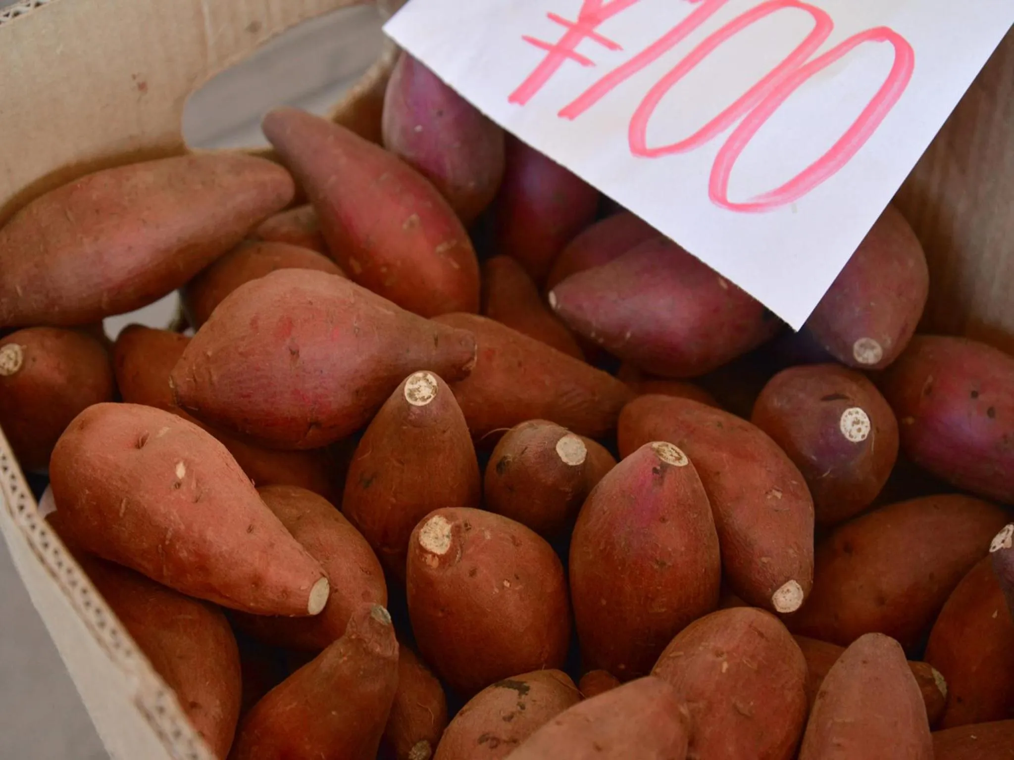 Nearby landmark in Jyokiya