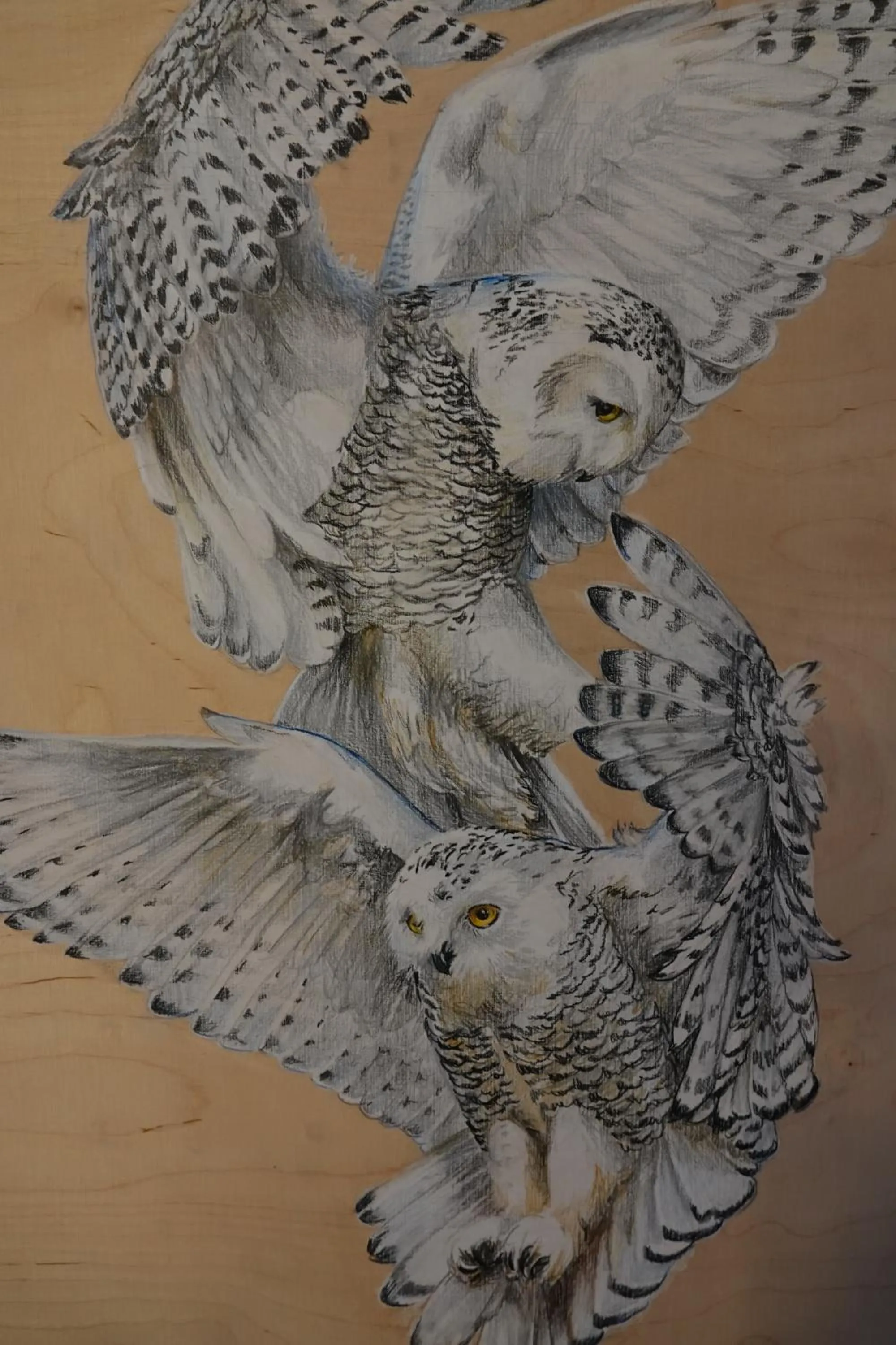 Kierinki Village Majatalo