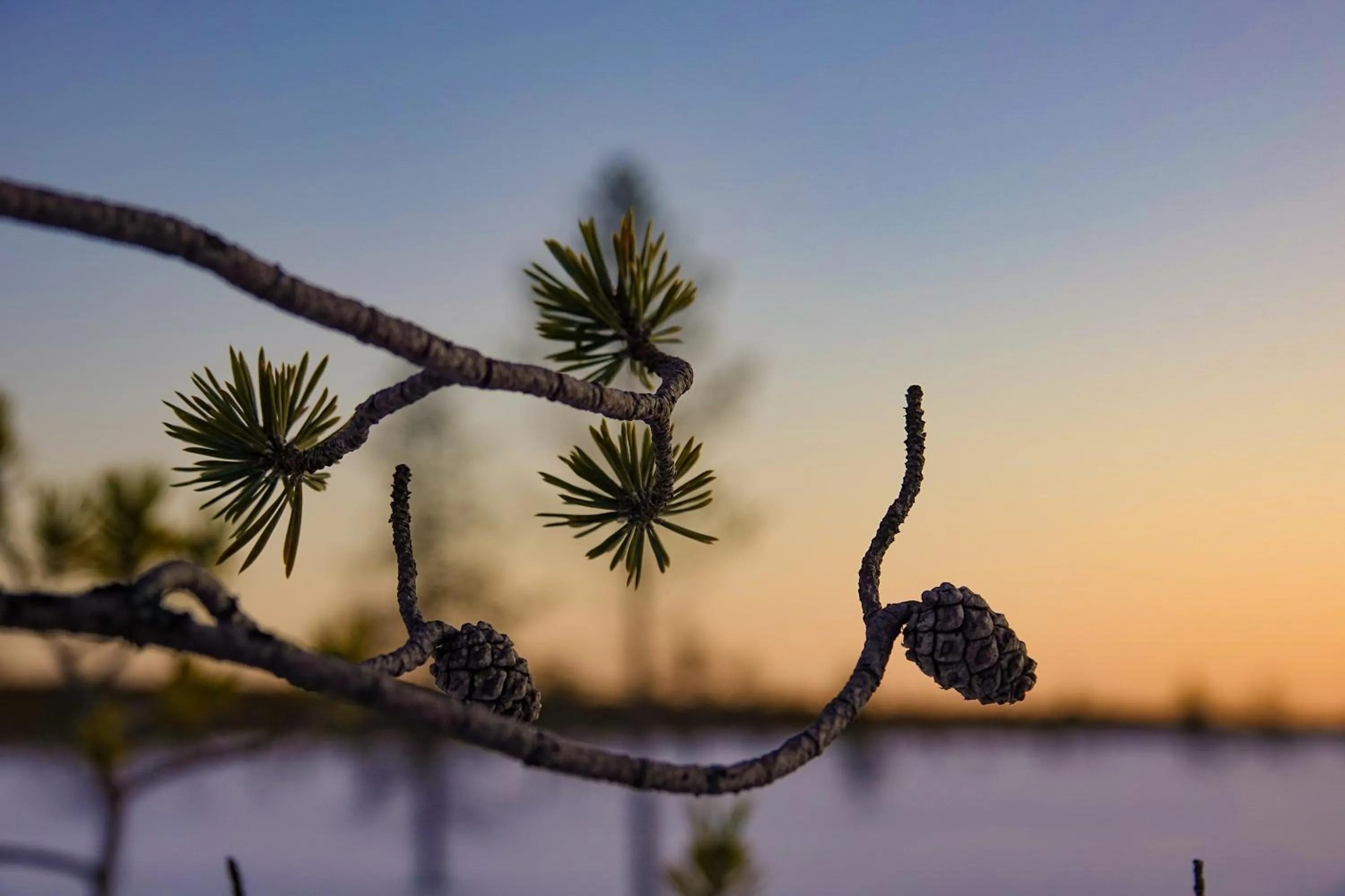 View (from property/room) in Kierinki Village Majatalo