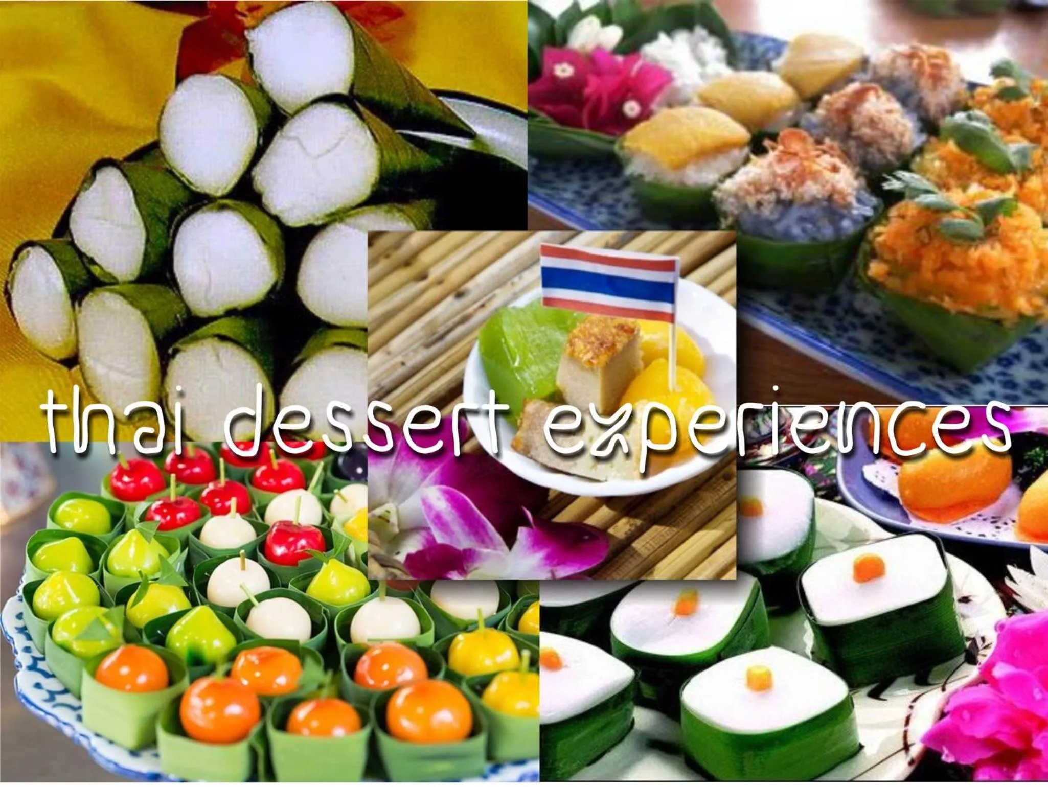 Activities in The Mud - Eco Hotel