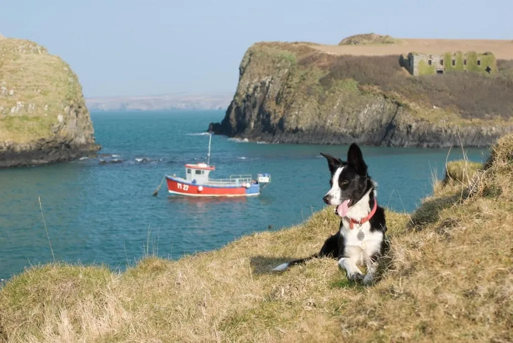 Nearby landmark in Llety Farm