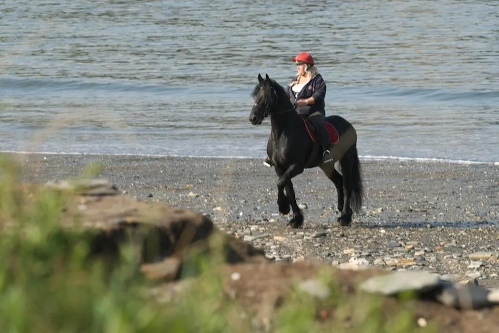 Natural landscape in Llety Farm