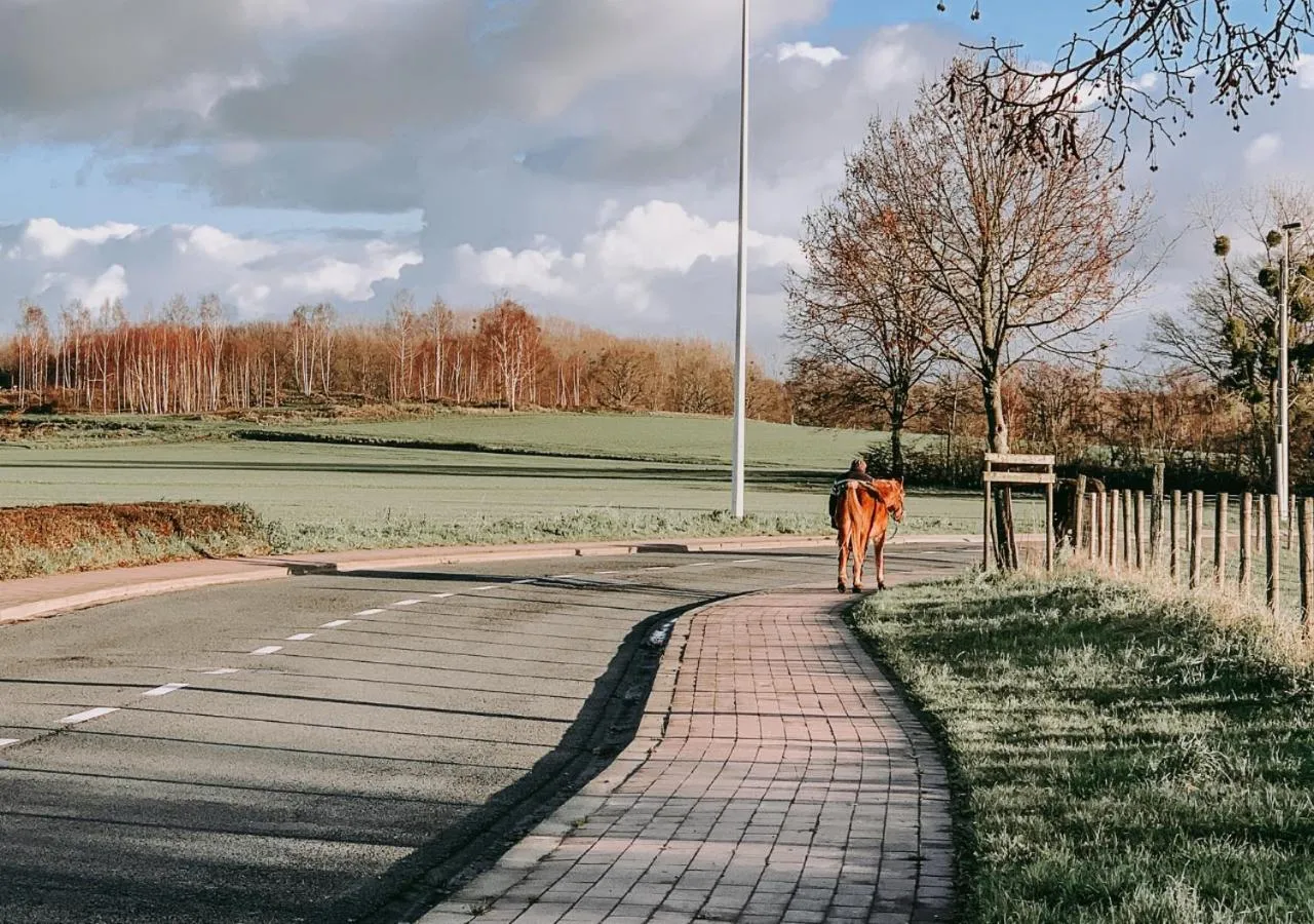 Neighbourhood in Axis Hotel