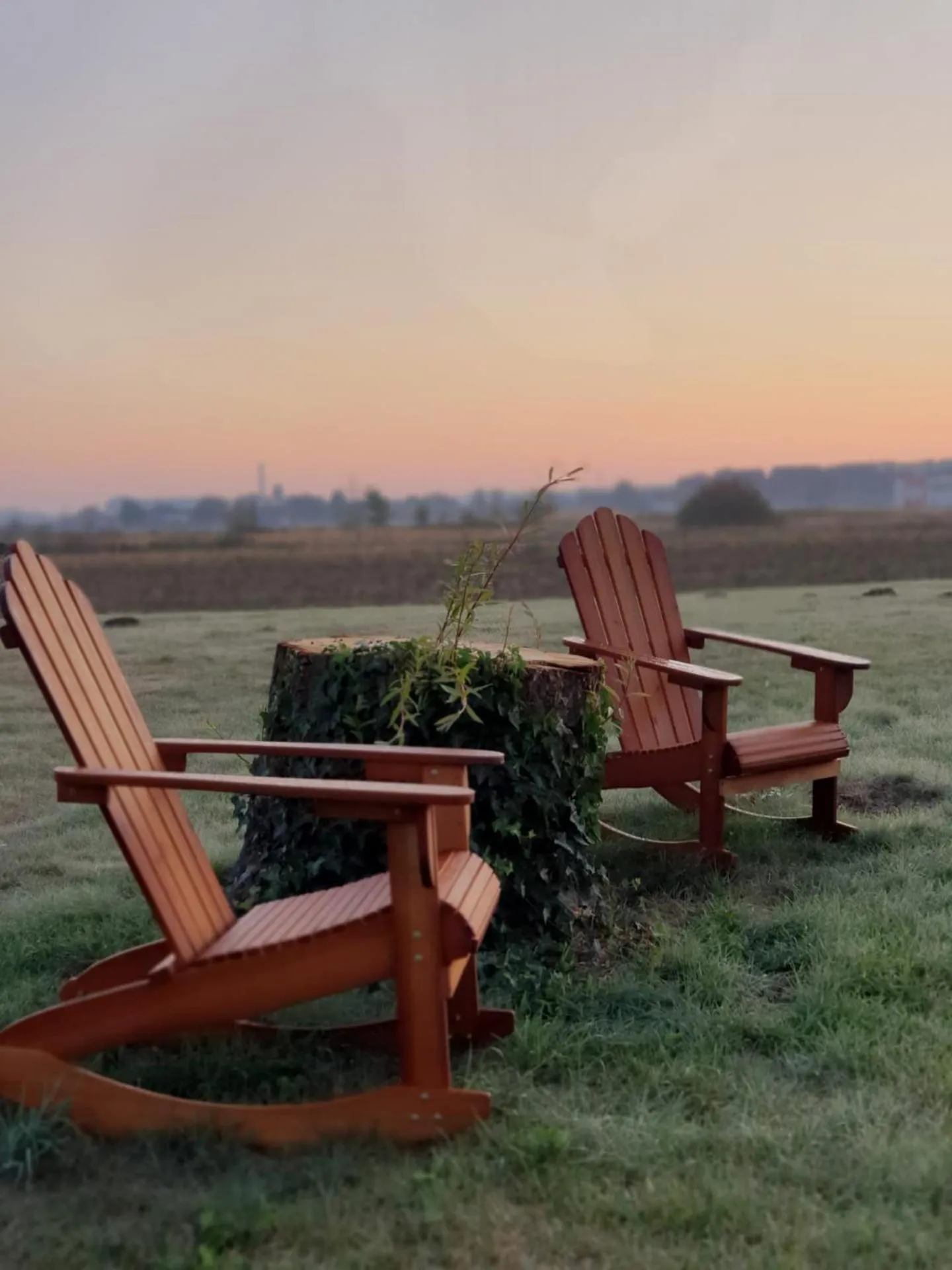 Garden in Axis Hotel