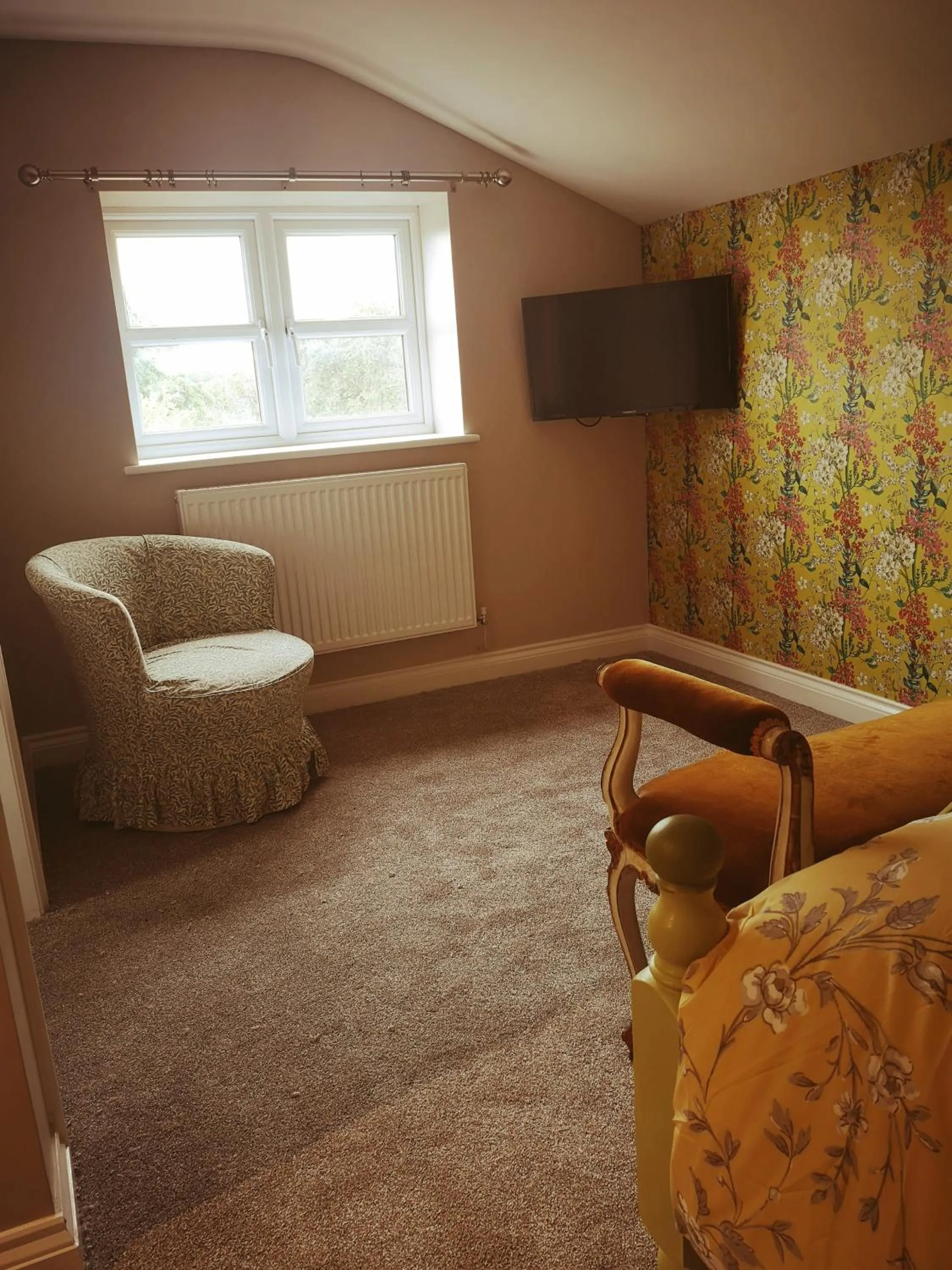 TV and multimedia in Brampton Dales Farm