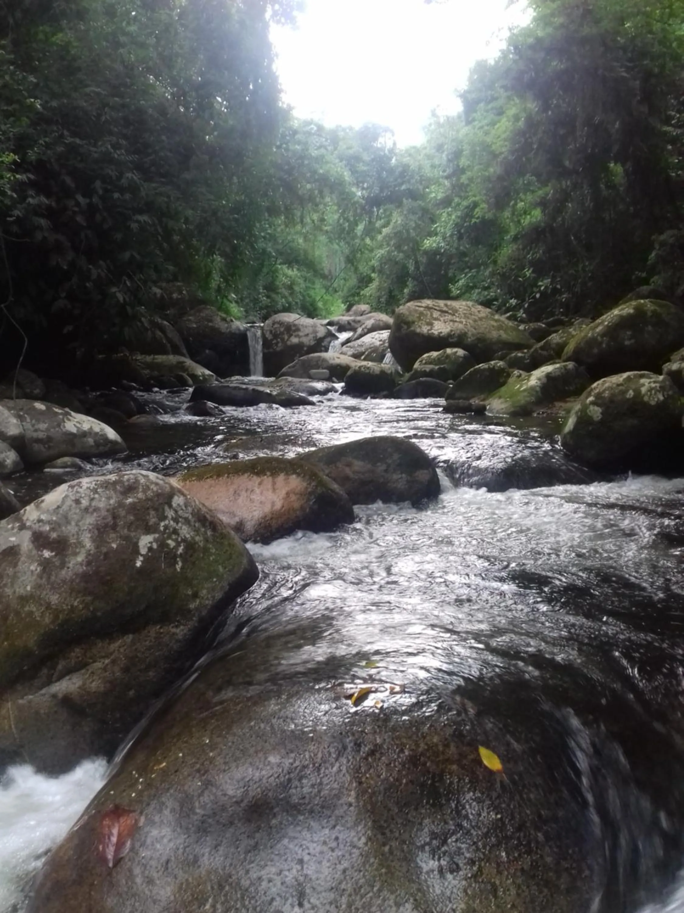 Activities in Vila Noah Pousada