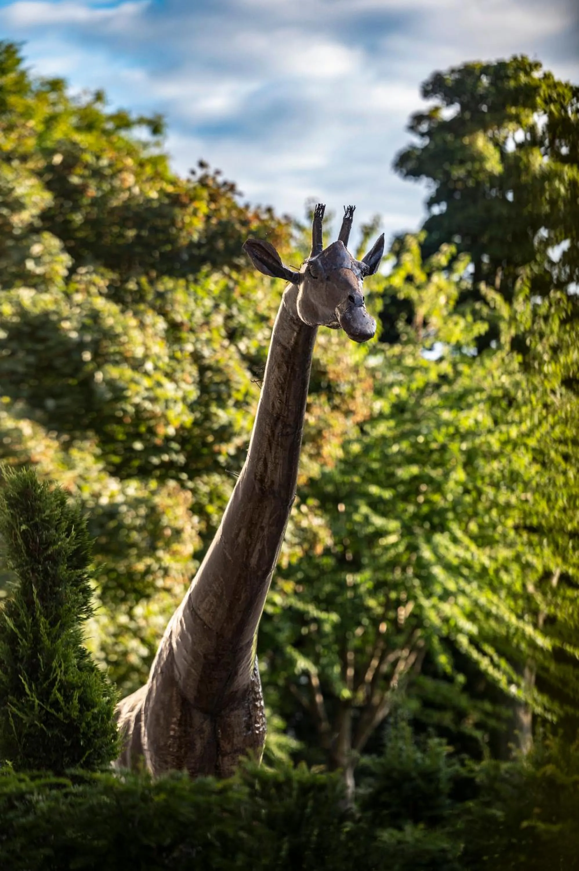Garden in The Glenmorangie House