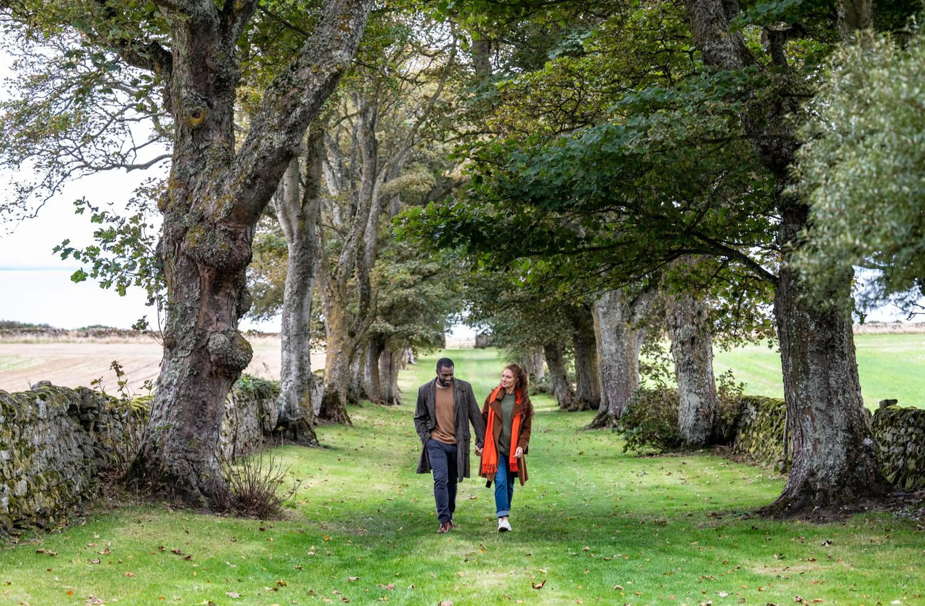 Garden in The Glenmorangie House