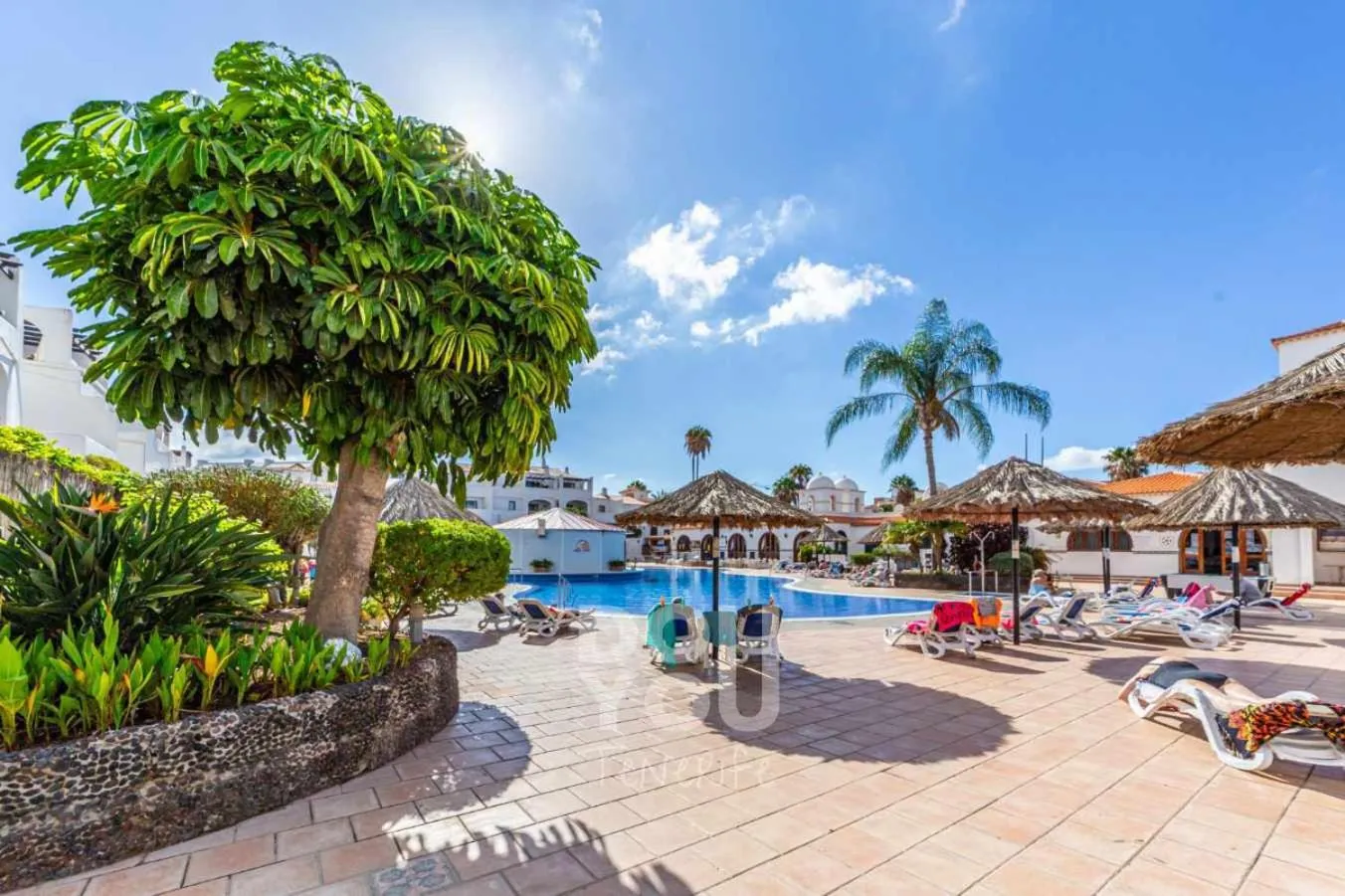 Day in Apartment Fairways Club