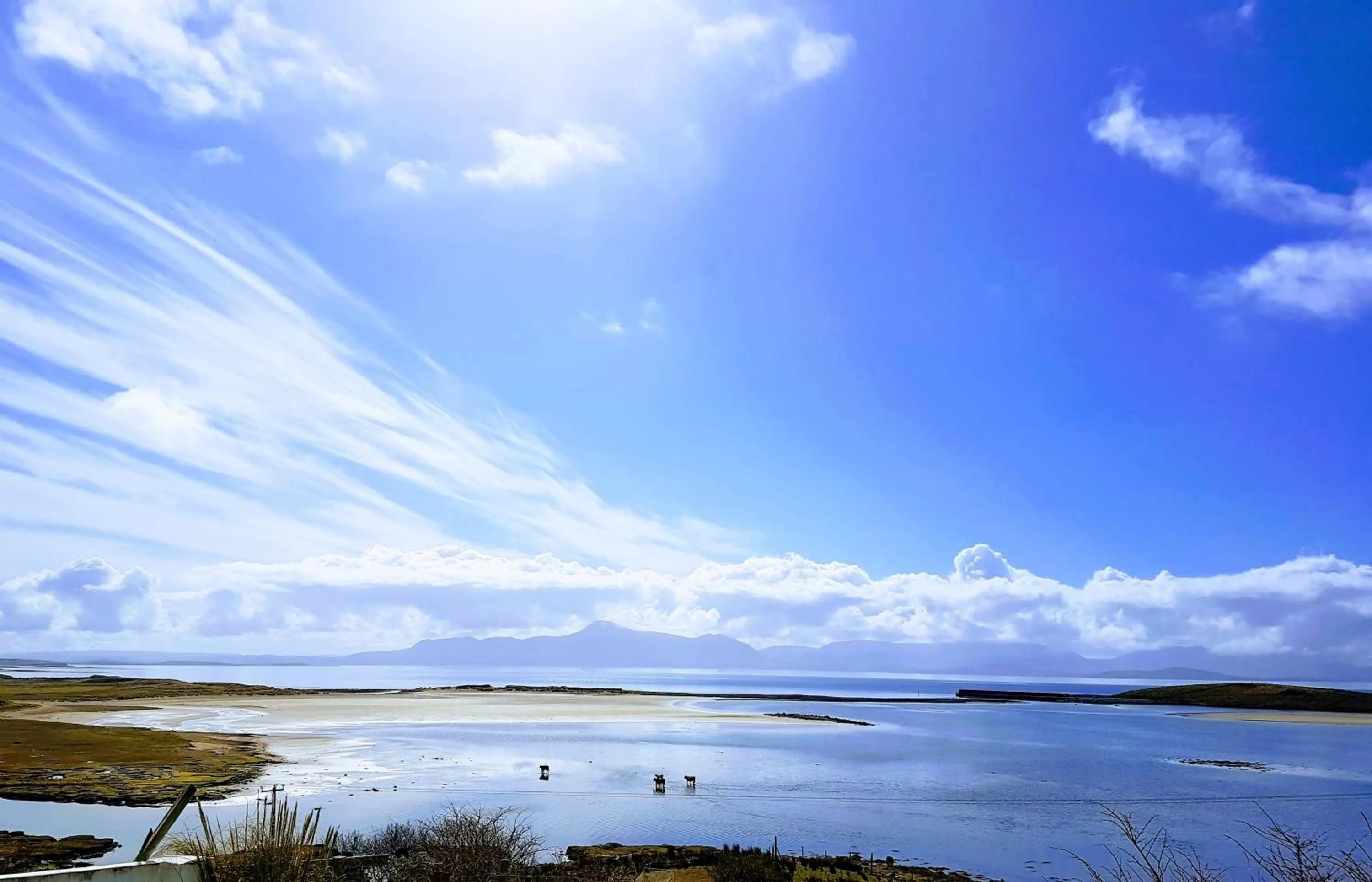 Natural landscape in Mulranny House
