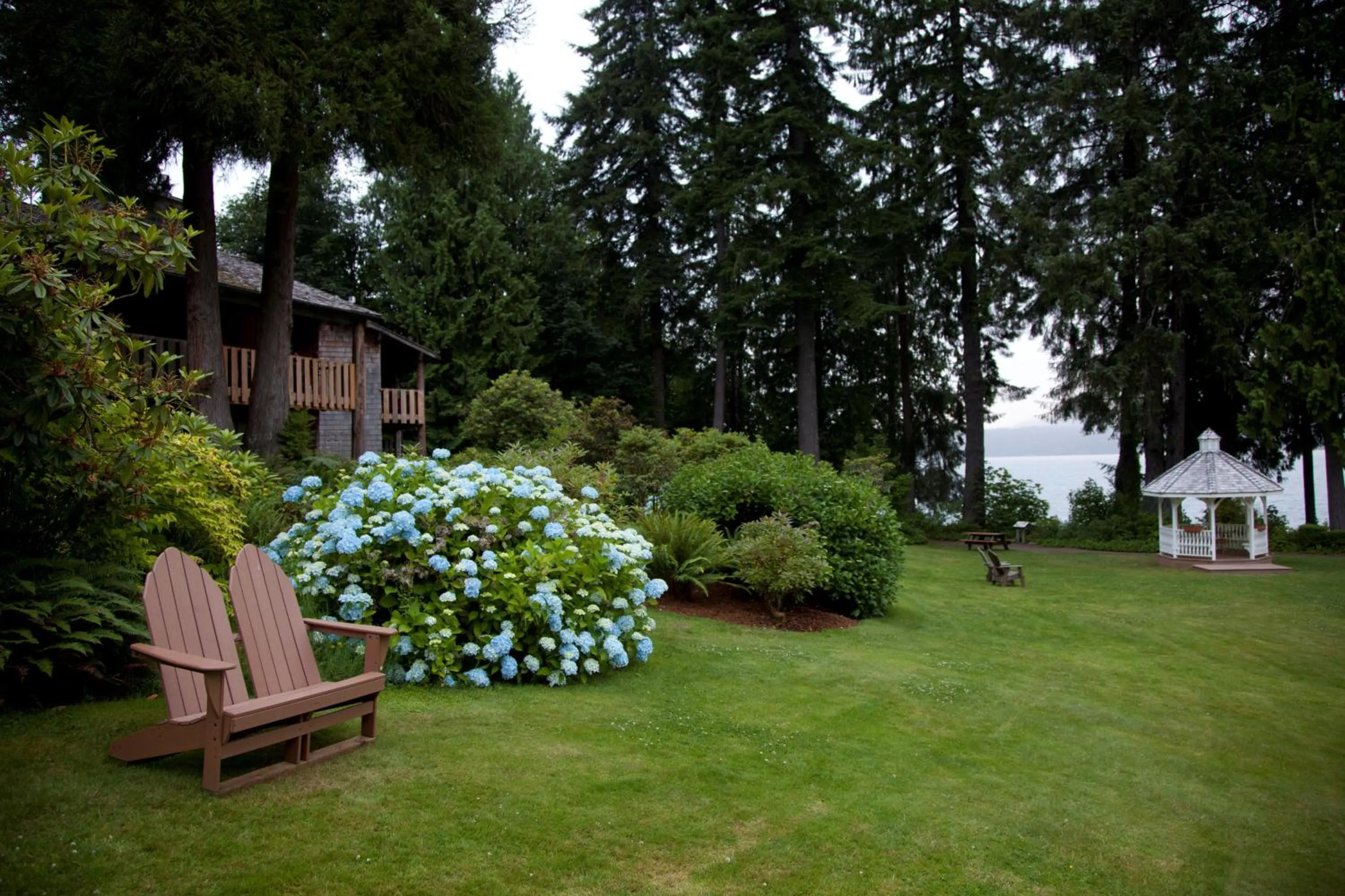 Lake view in Lake Quinault Lodge