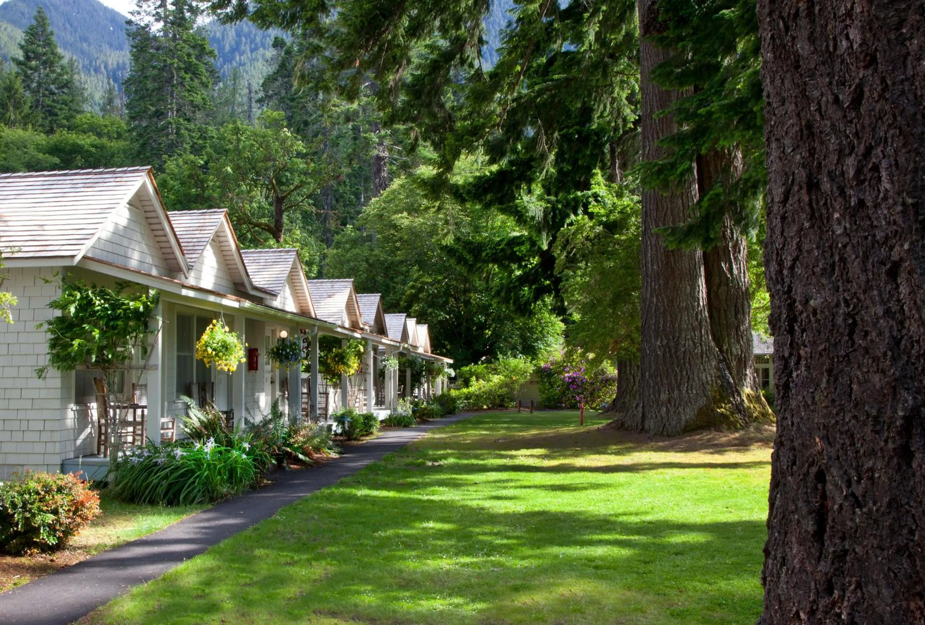 Balcony/Terrace in Lake Crescent Lodge