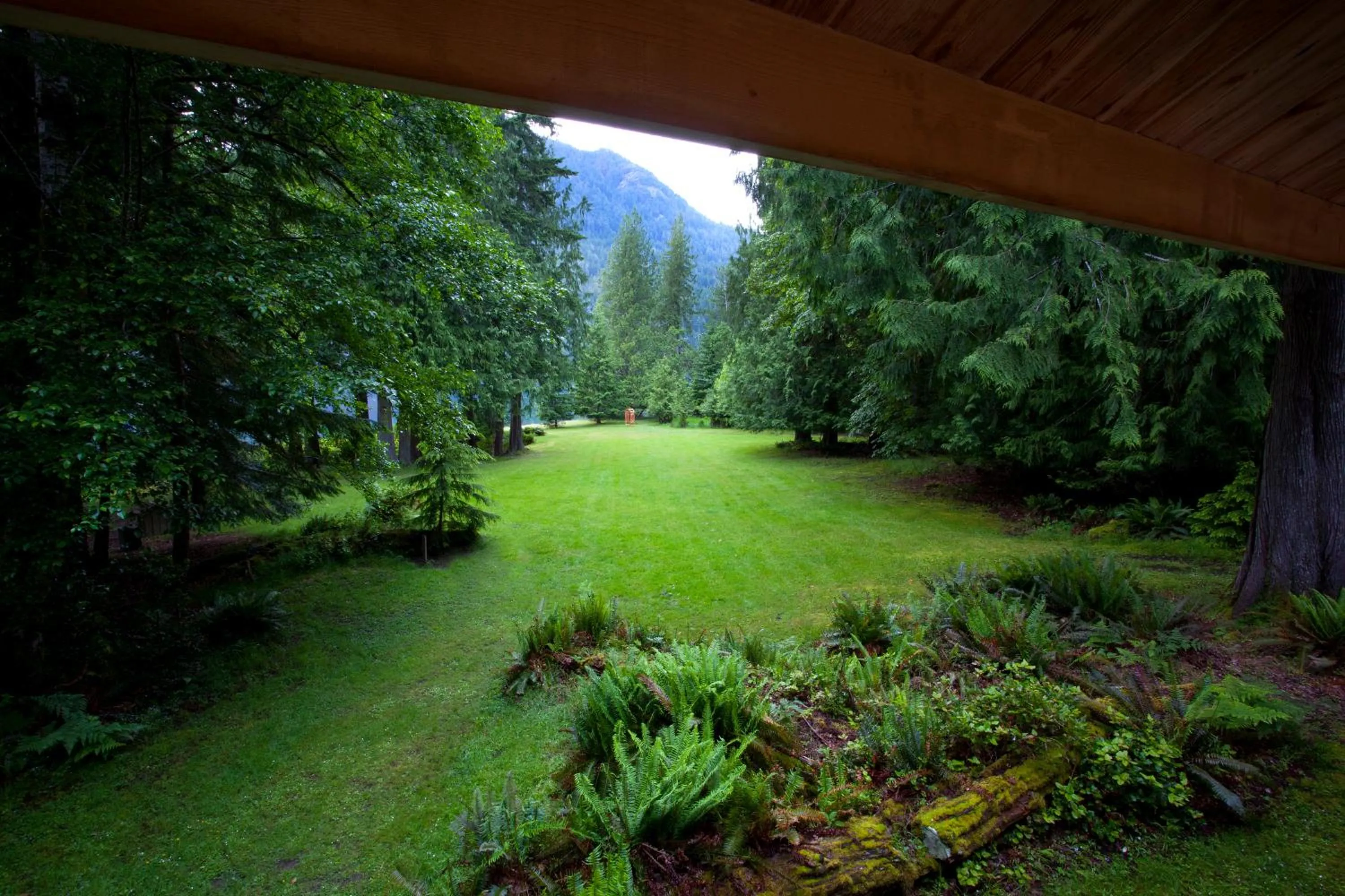 Balcony/Terrace in Lake Crescent Lodge