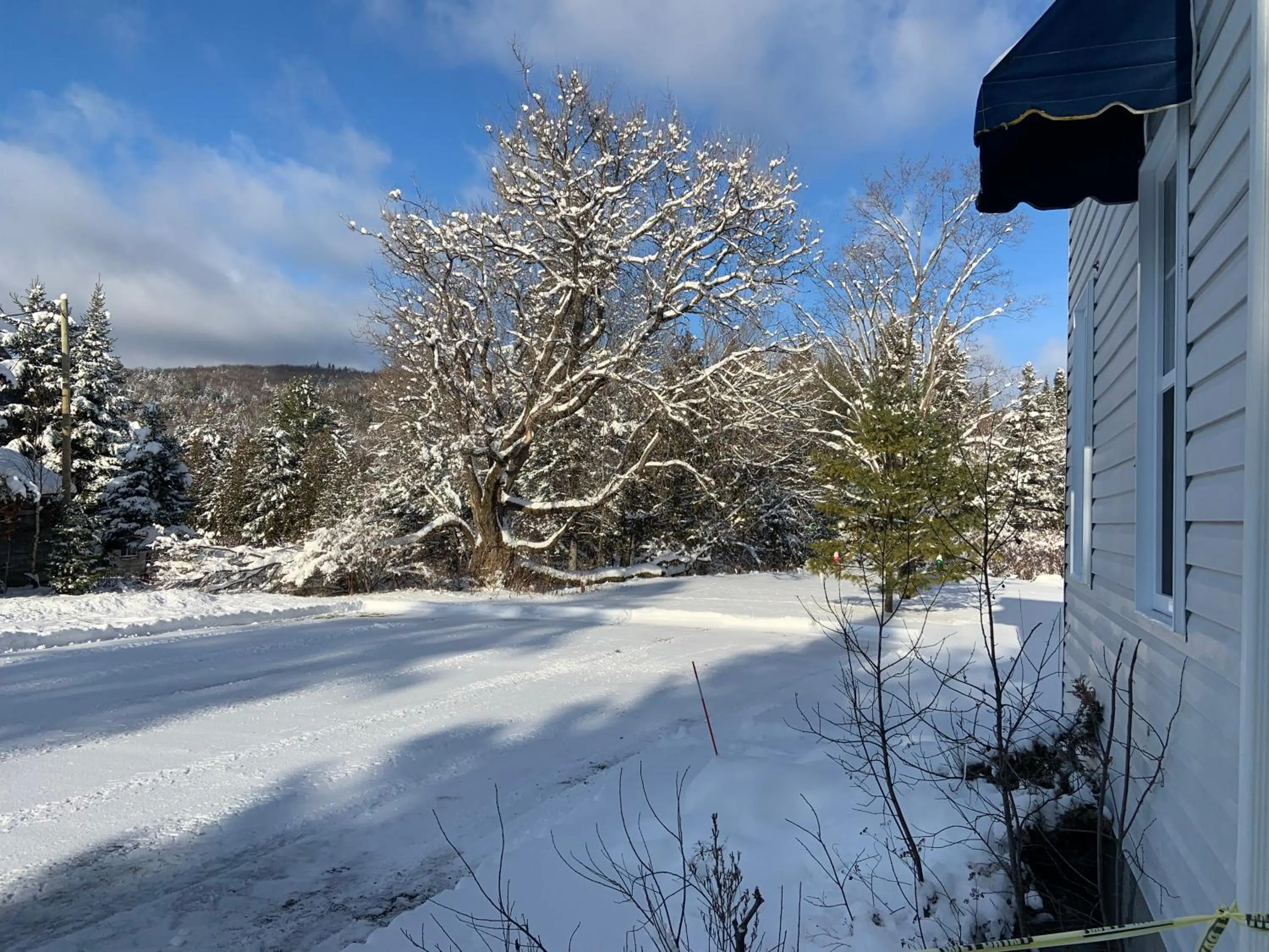 Garden in Auberge Clos-Joli