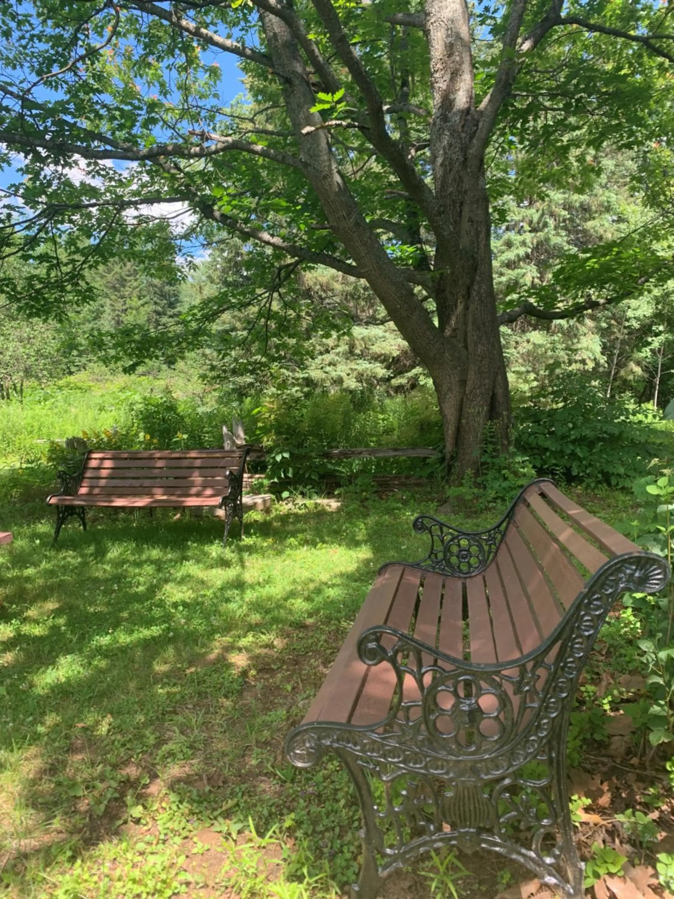 Garden in Auberge Clos-Joli