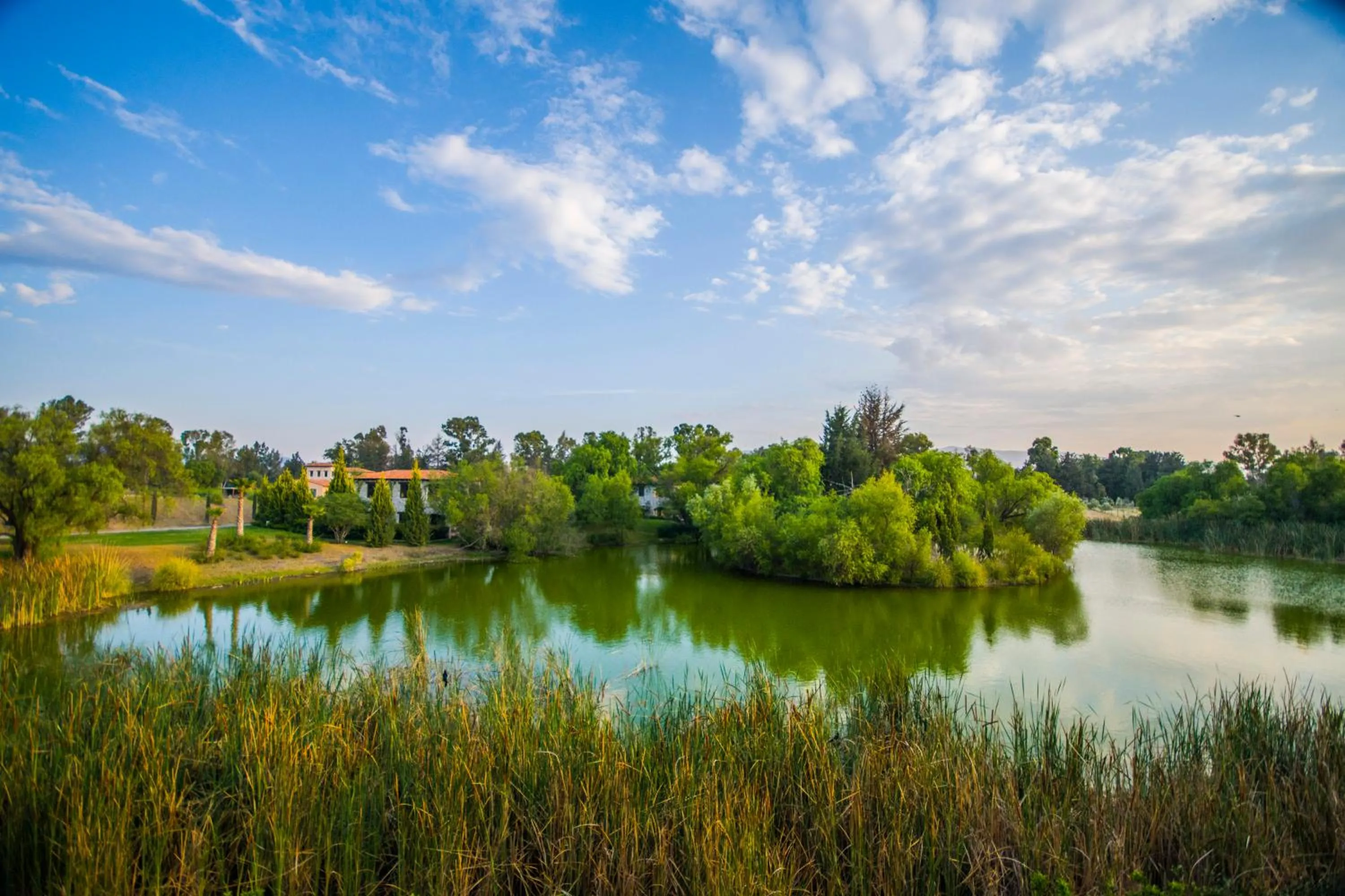 Natural landscape in Viñedos San Lucas