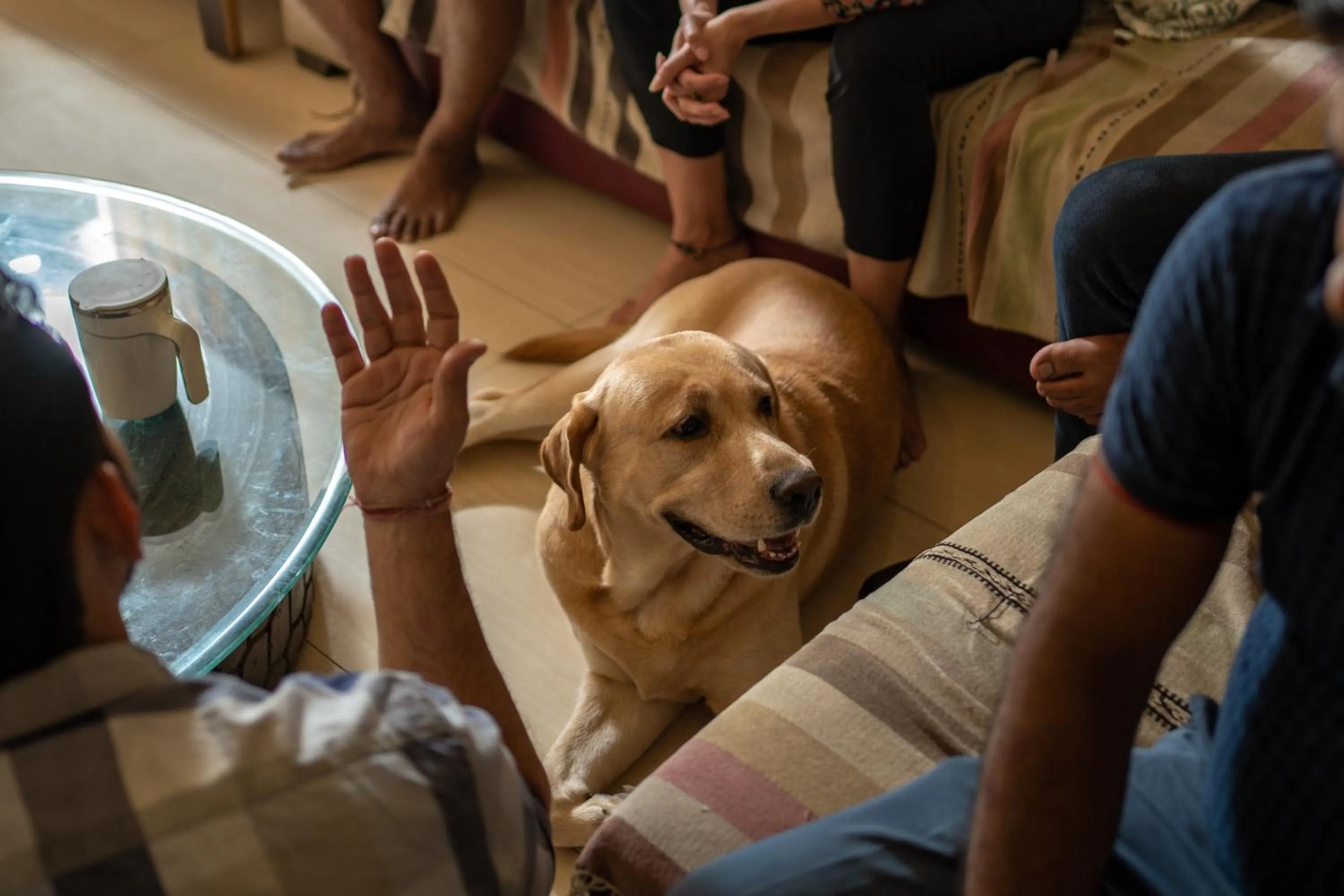 People in AmigosIndia