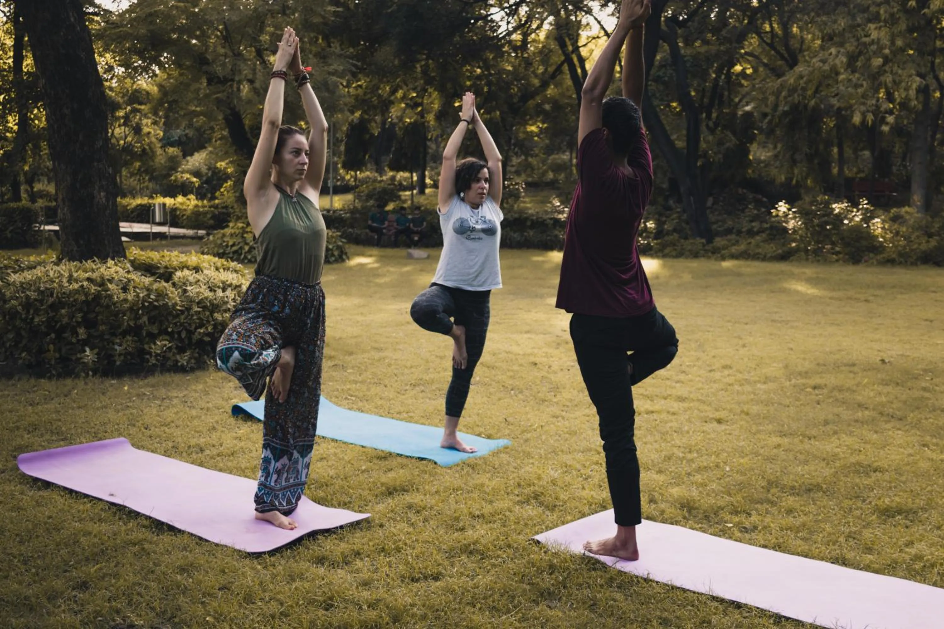 Activities in AmigosIndia