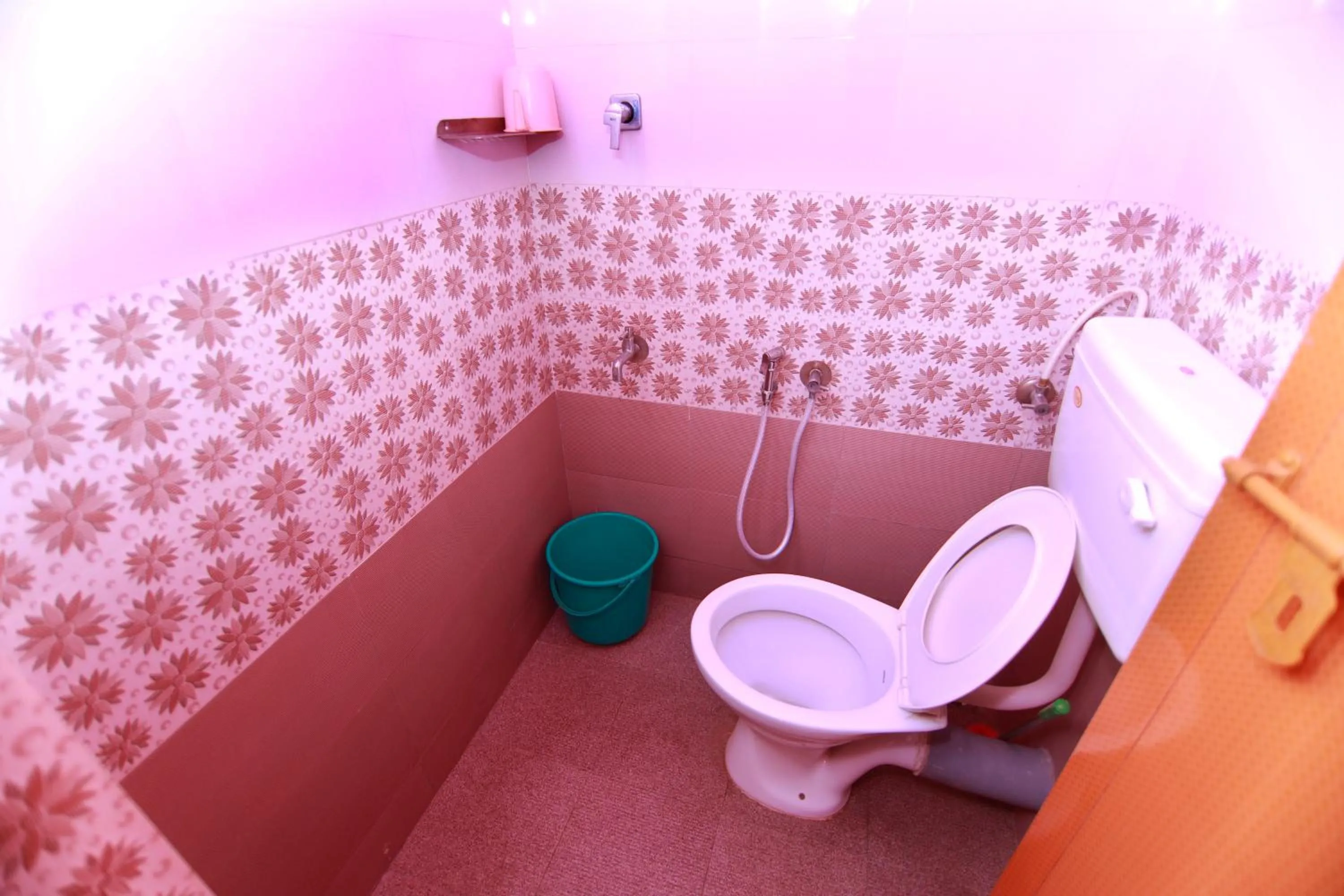 Toilet in Pleasant Inn