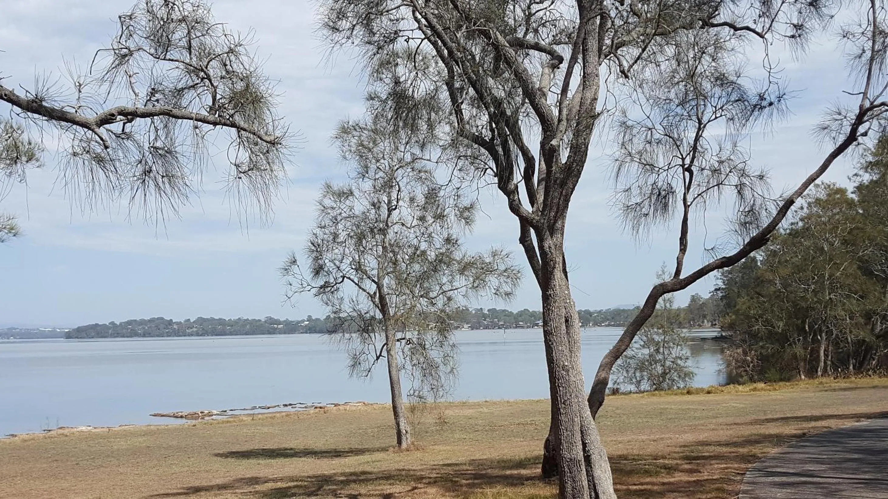 Natural landscape in Hibiscus Lakeside Motel