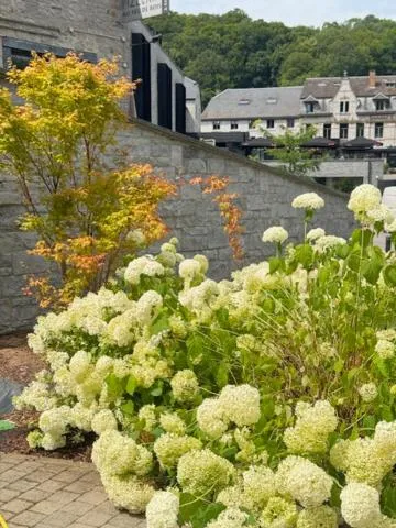Garden in Hôtel WELLNESS EAU DE ROCHE Durbuy