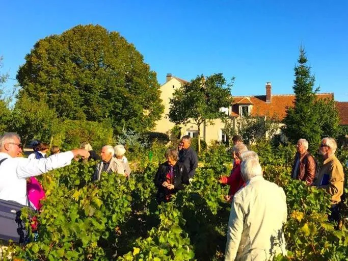 Activities in Les Temps Perdus