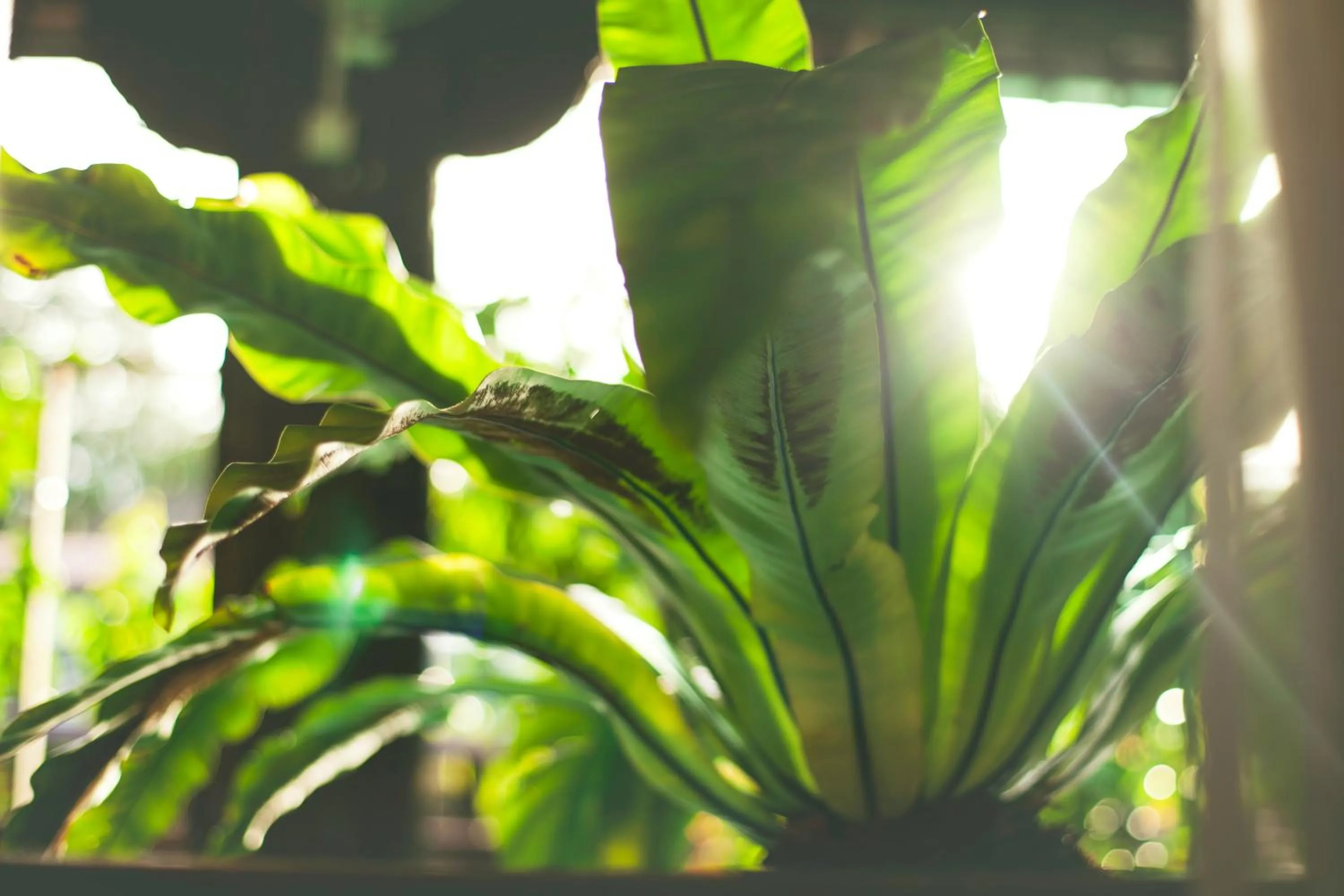 Other in House Of My Eternal Love - Kulai Homestay