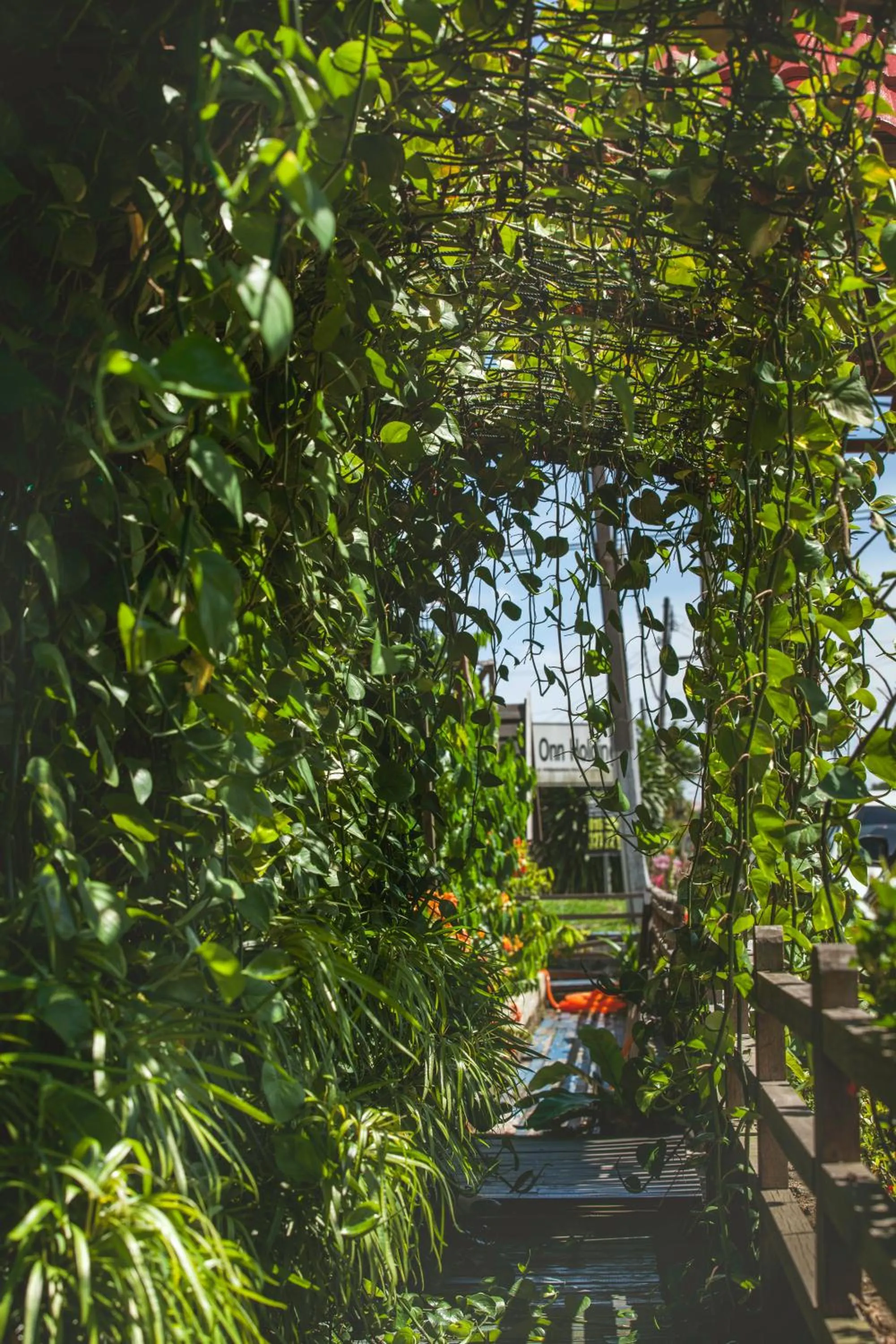 Garden in House Of My Eternal Love - Kulai Homestay