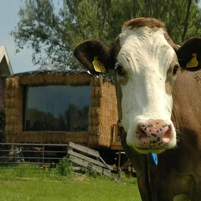 Family Room with Garden View in Gastopstal Family Room with Garden View in Gastopstal