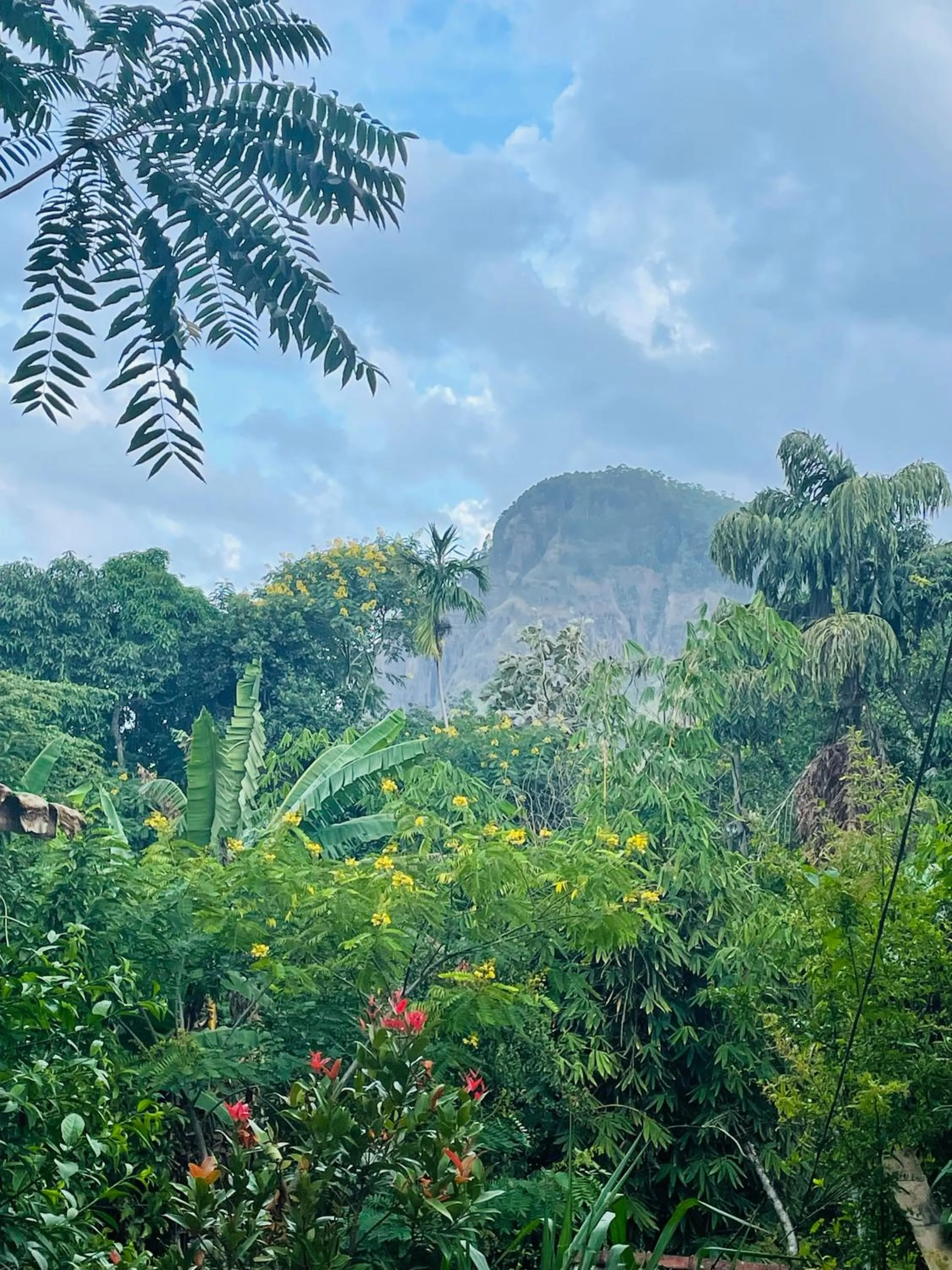 The Horizon Root Inn