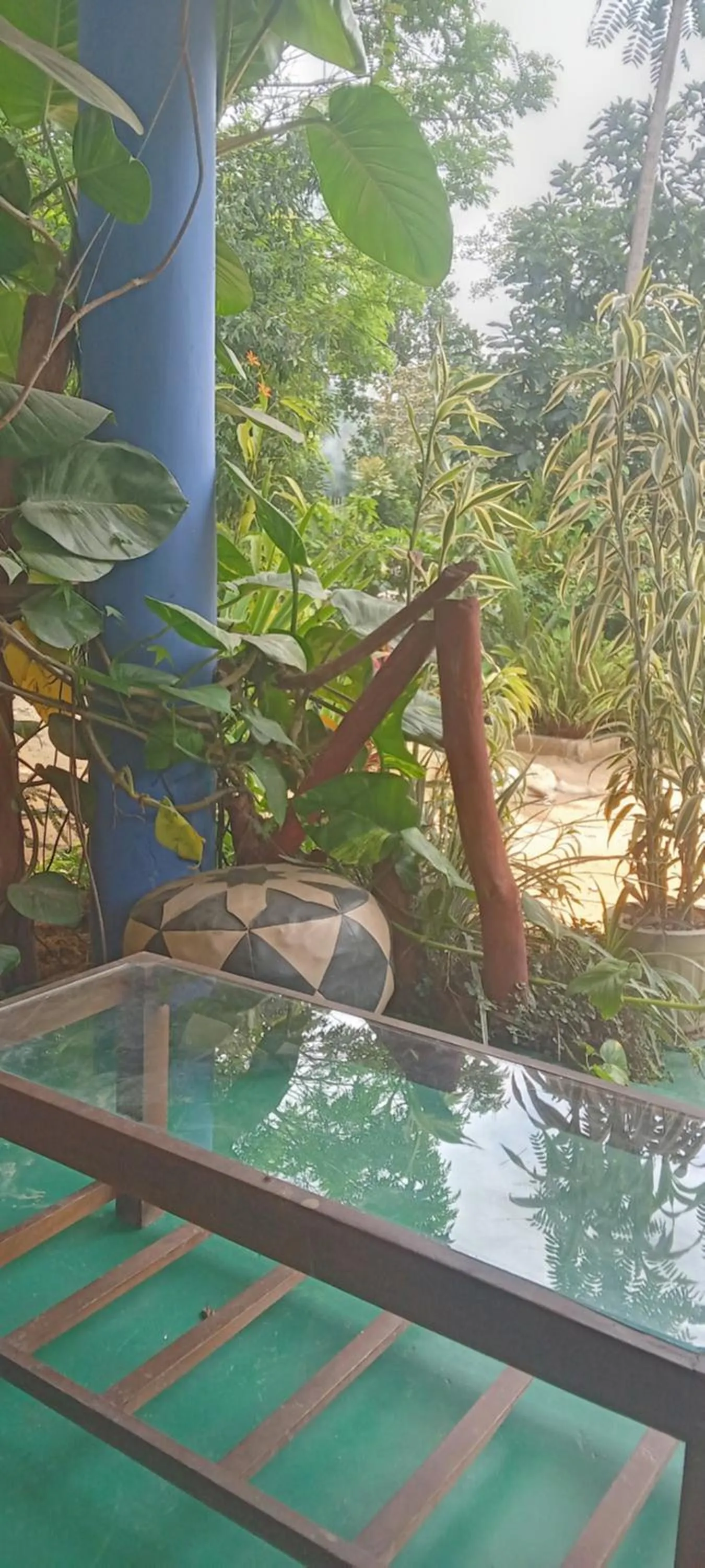 The Horizon Root Inn