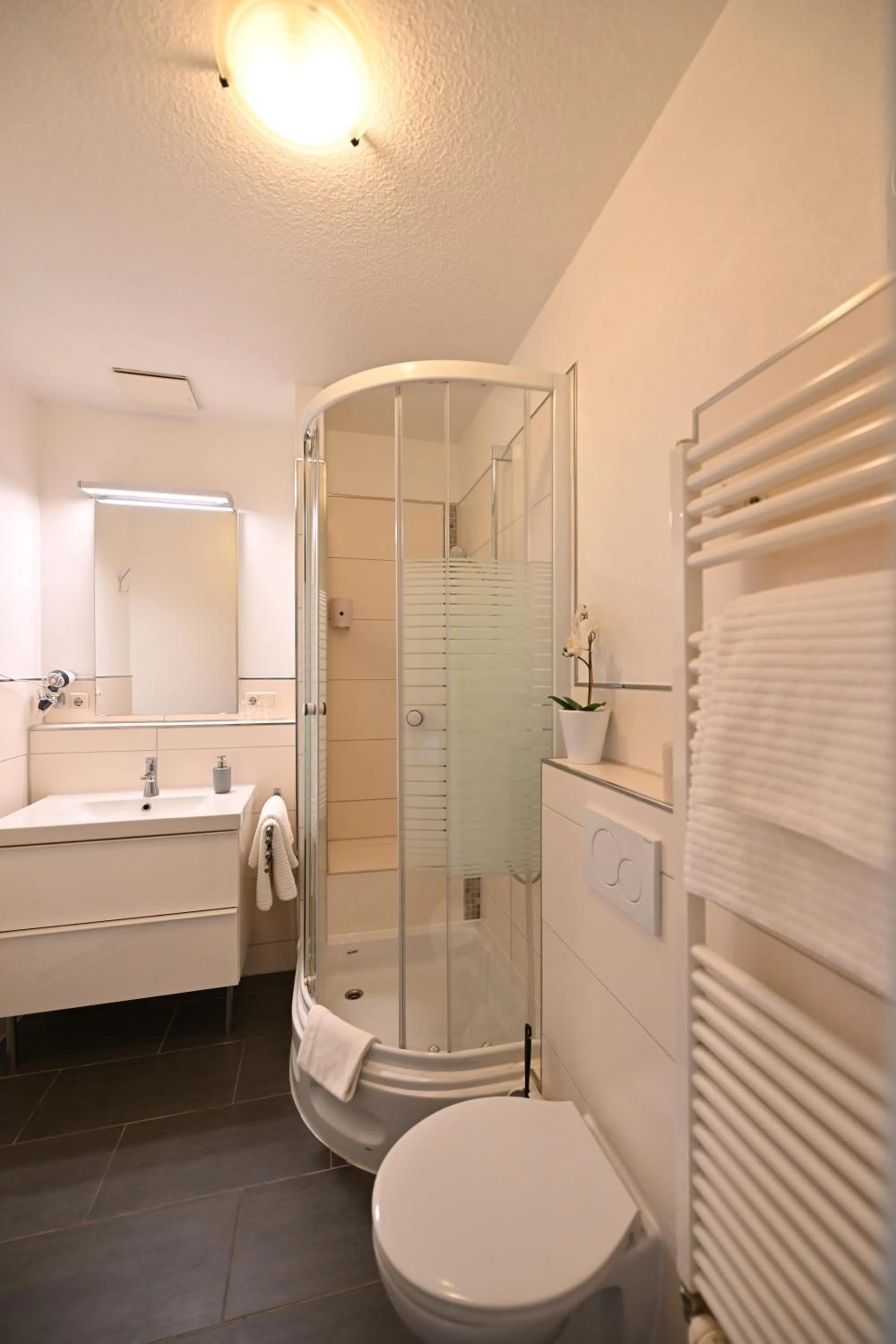 Shower in Hotel Mainblick Garni