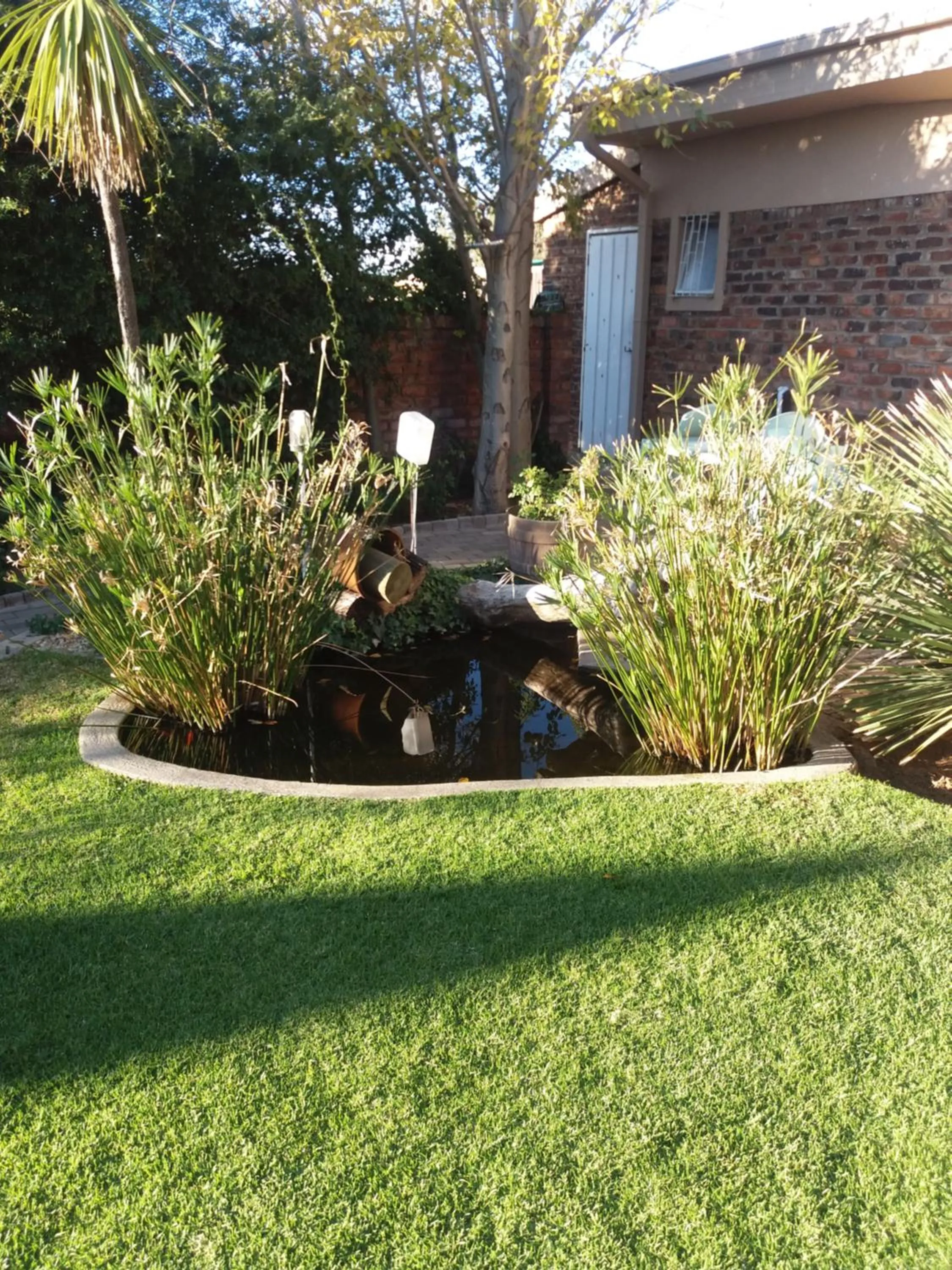 Garden view in Skietberg Lodge