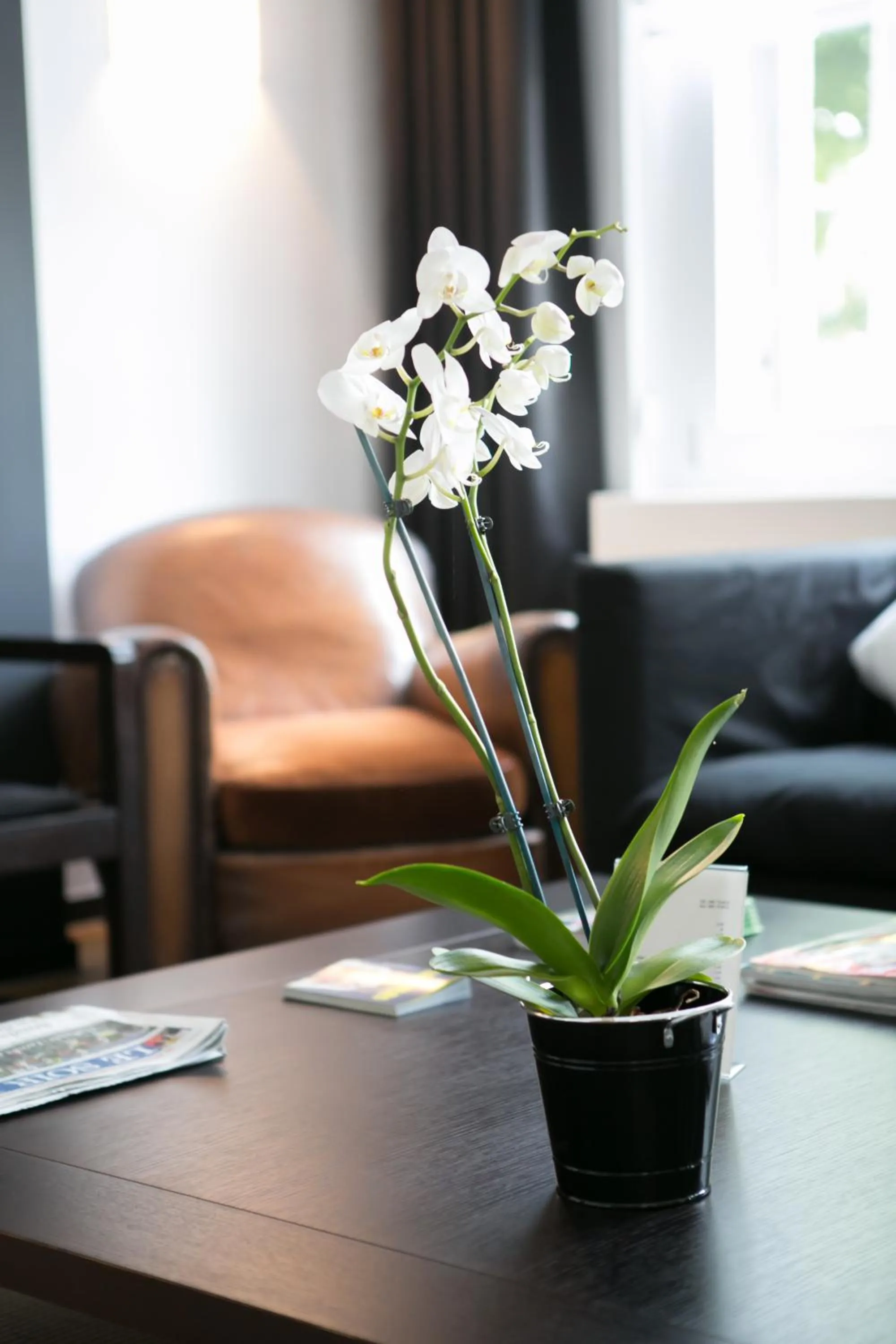 Lobby or reception in Hotel St James