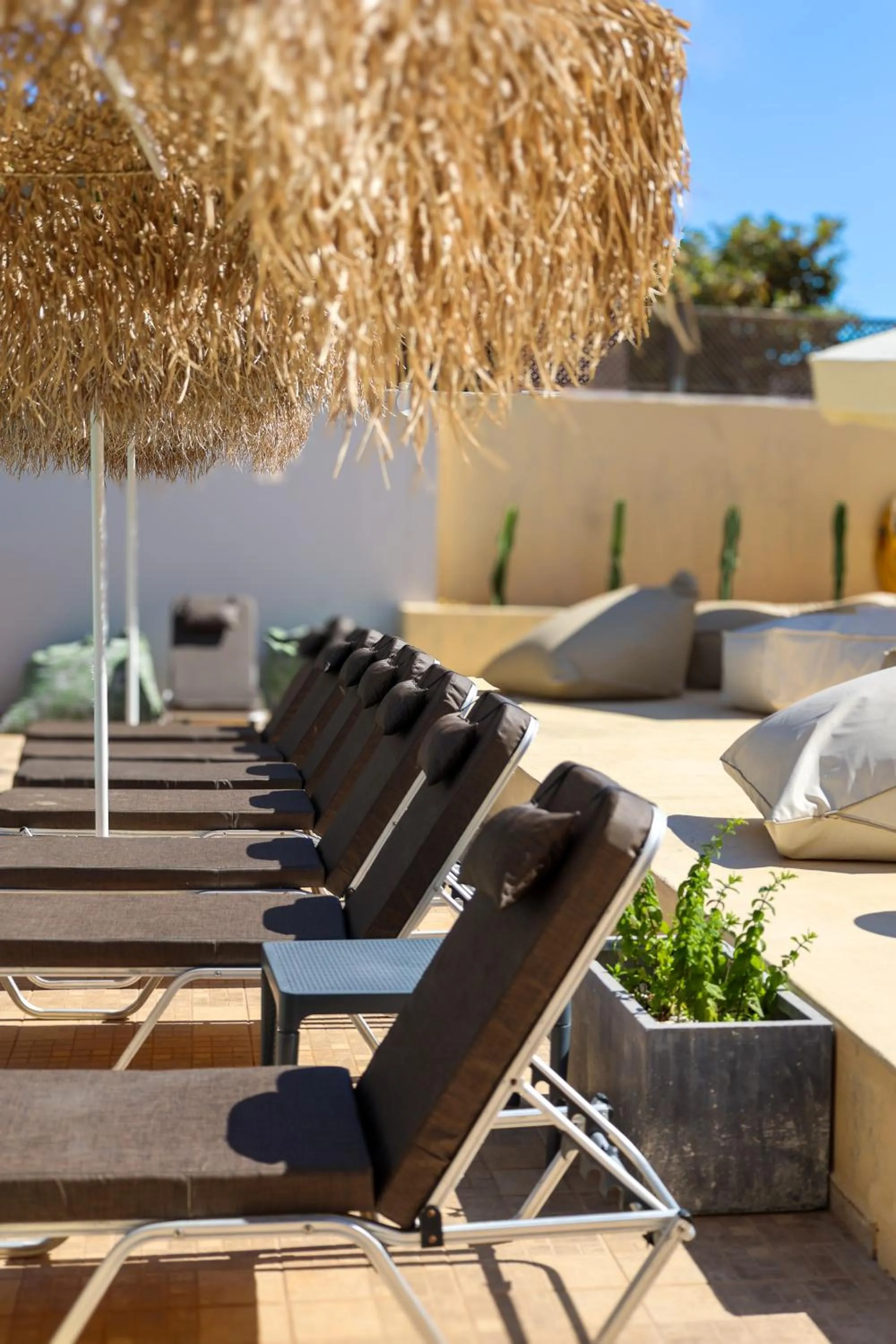 sunbed in Sunshine Boutique Hotel by Estia