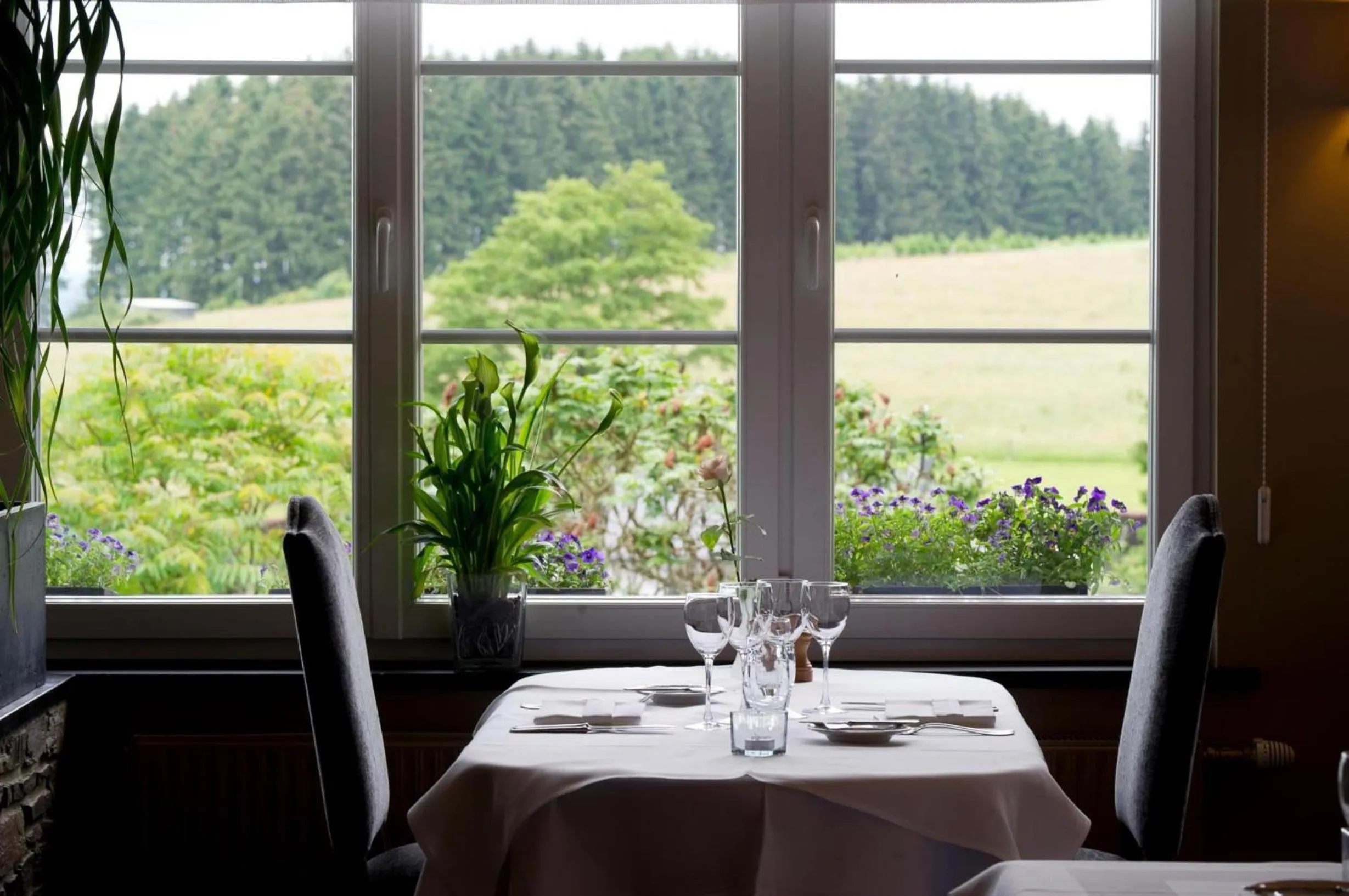 Restaurant/places to eat in Hotel des Ardennes