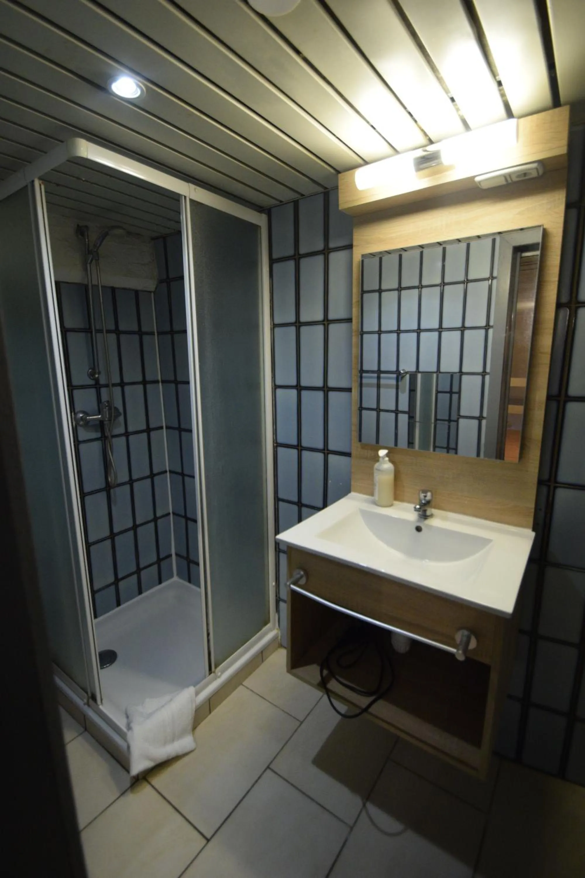 Shower in Condo Gardens Leuven