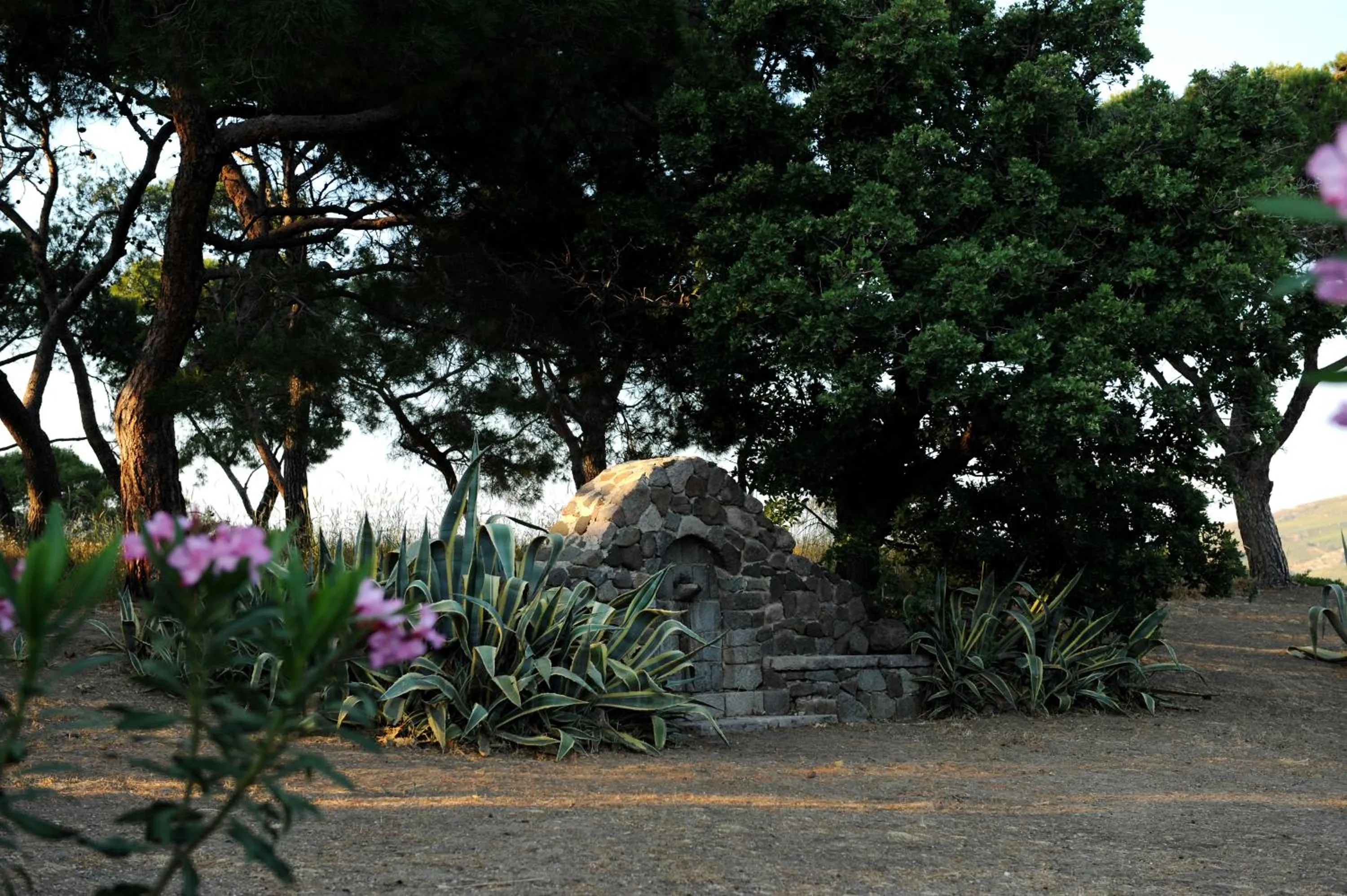 Natural landscape in Delfinia Hotel & Bungalows